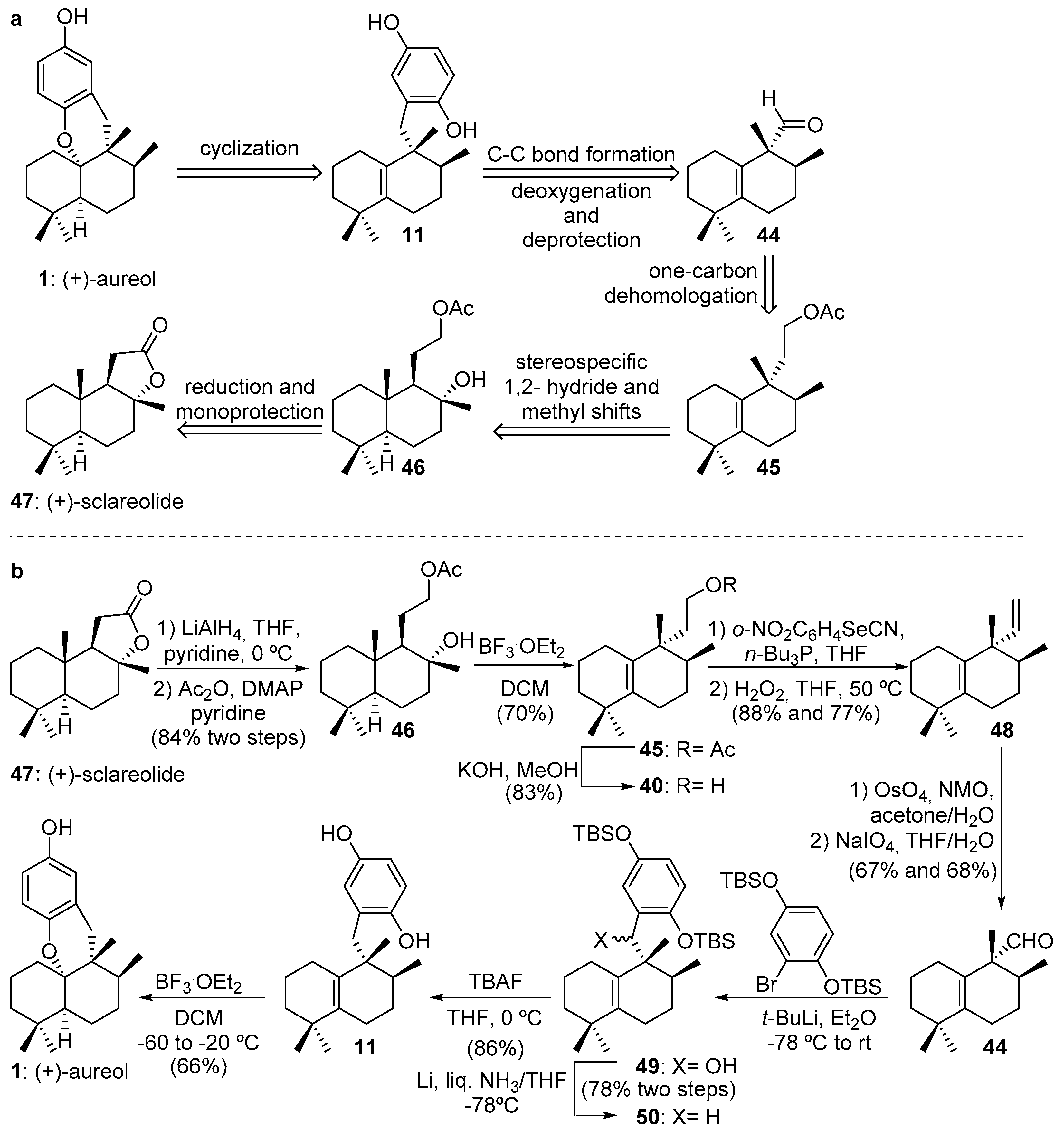 Marinedrugs 19 00273 sch008 Marinedrugs 19 00273 sch008