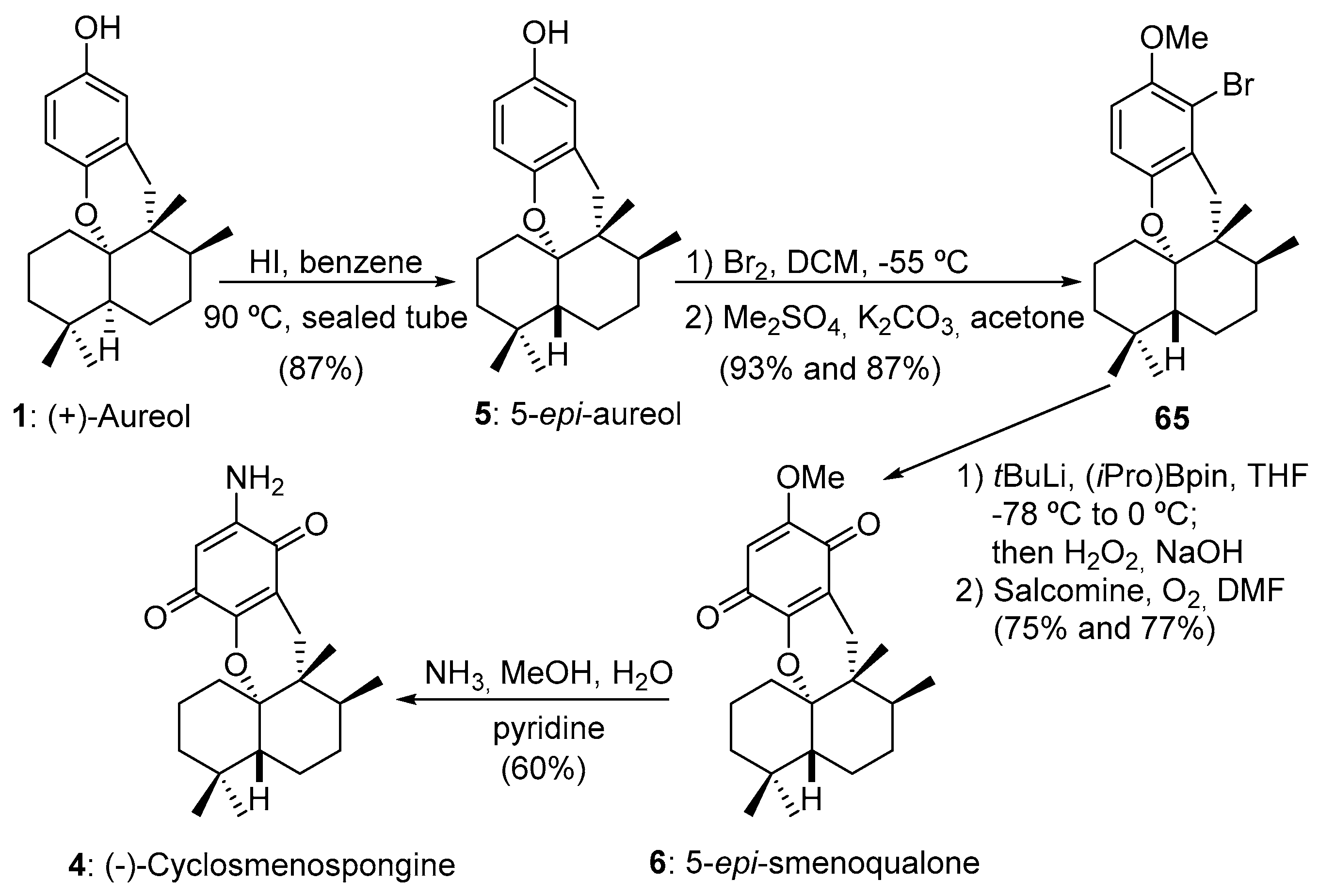 Marinedrugs 19 00273 sch012 Marinedrugs 19 00273 sch012