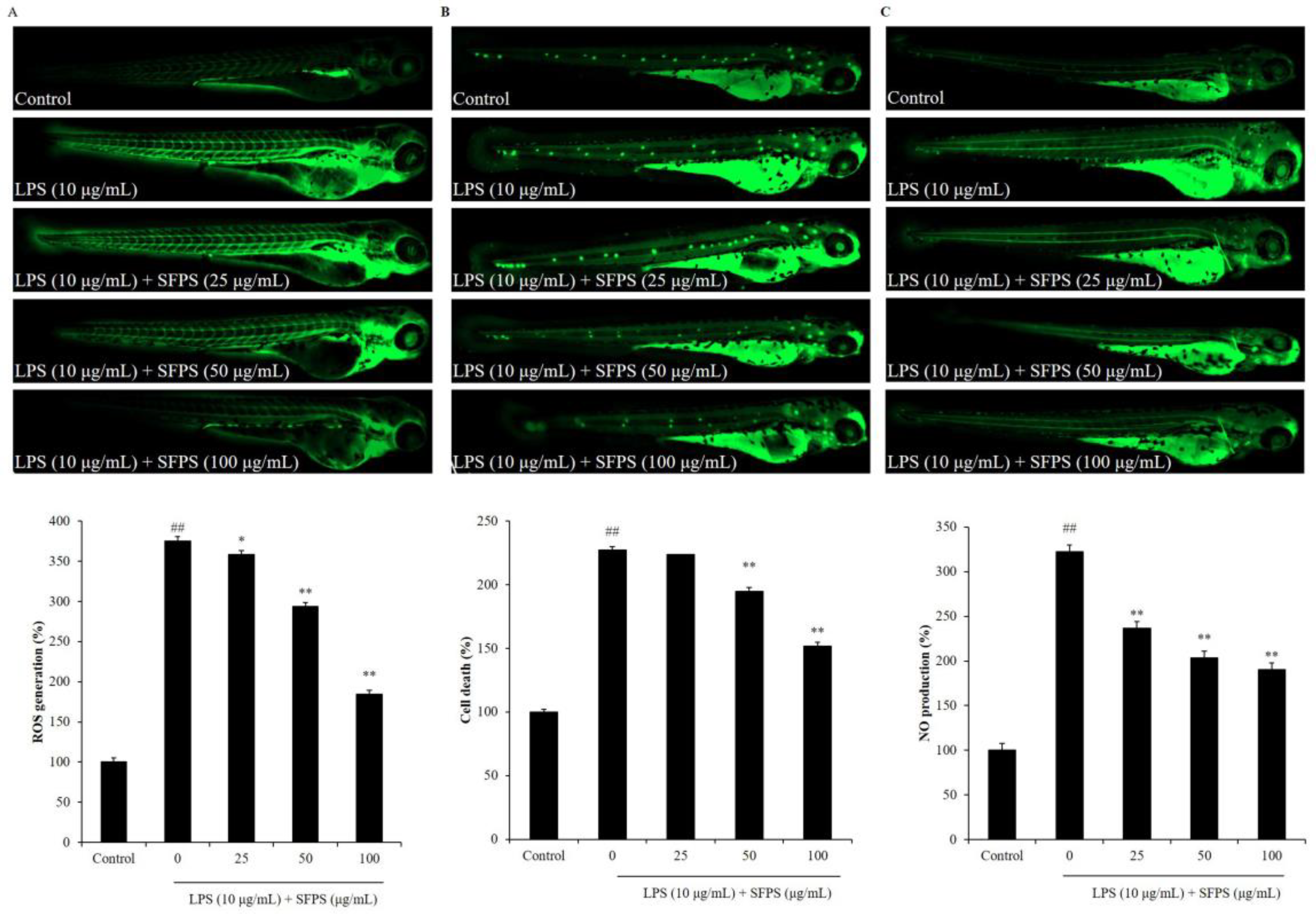 Marinedrugs 19 00277 g005 Marinedrugs 19 00277 g005