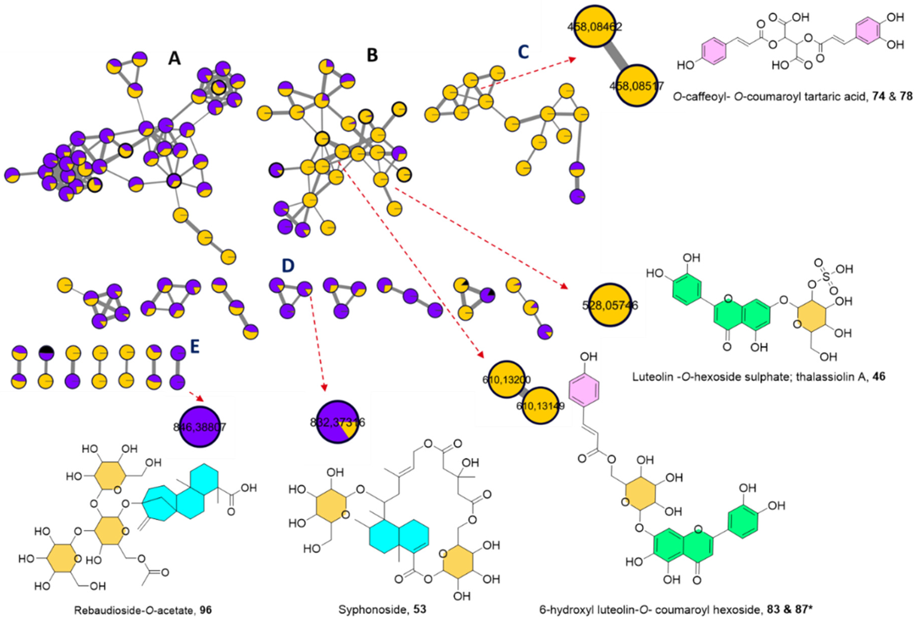 Marinedrugs 19 00279 g001 Marinedrugs 19 00279 g001