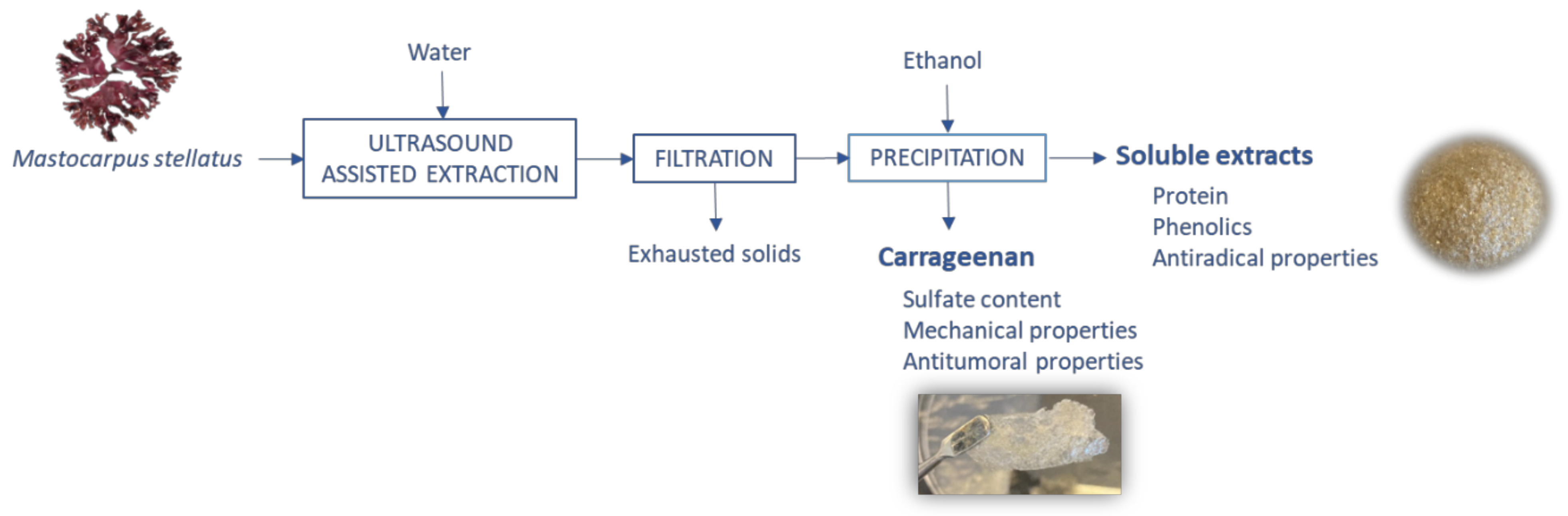 Marinedrugs 19 00280 g001