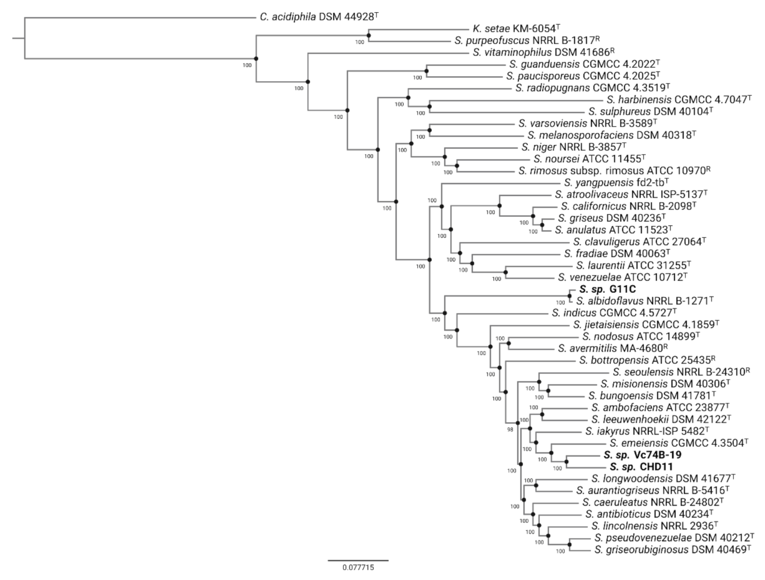 Marinedrugs 19 00286 g001 Marinedrugs 19 00286 g001
