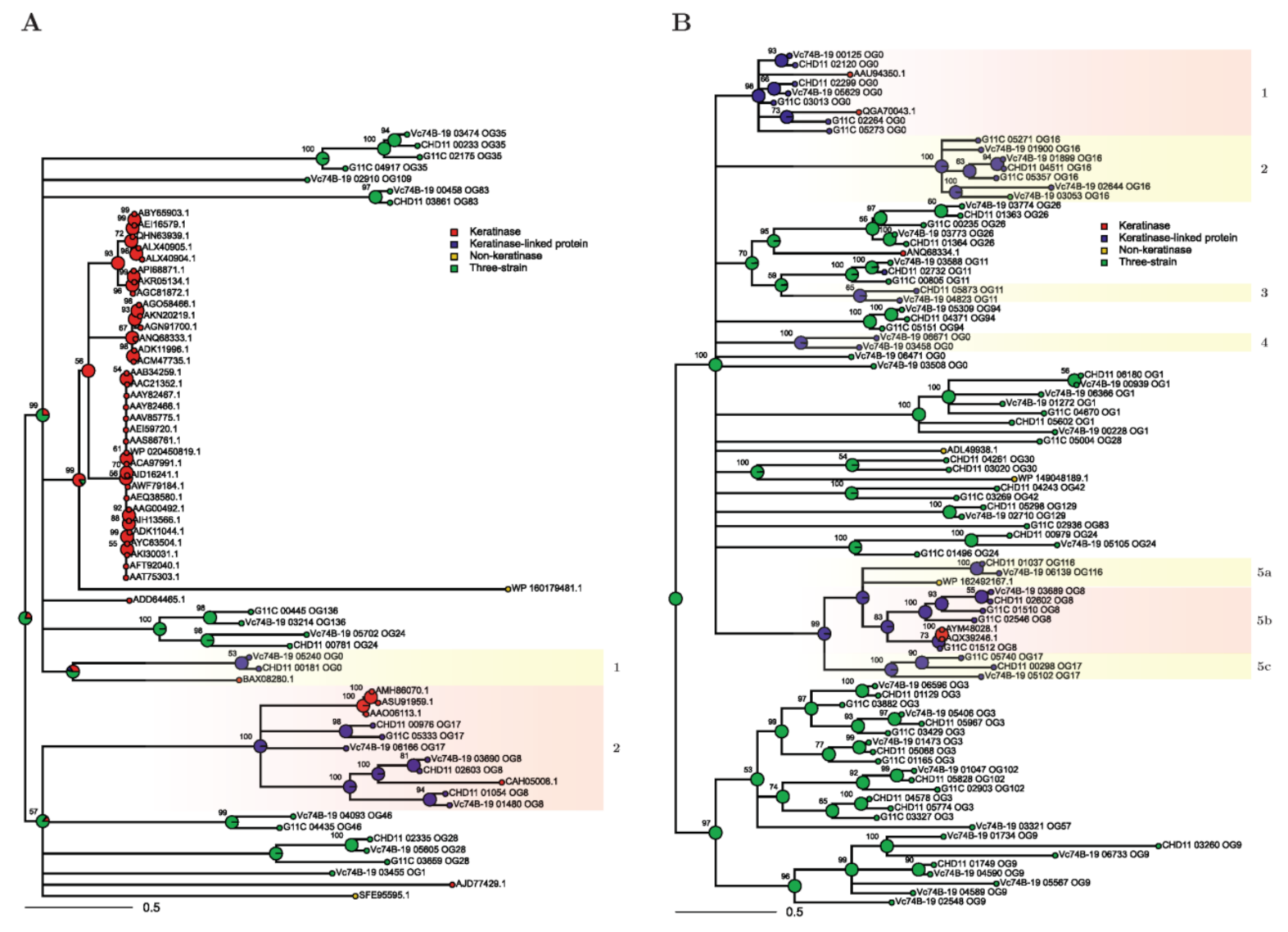 Marinedrugs 19 00286 g005 Marinedrugs 19 00286 g005