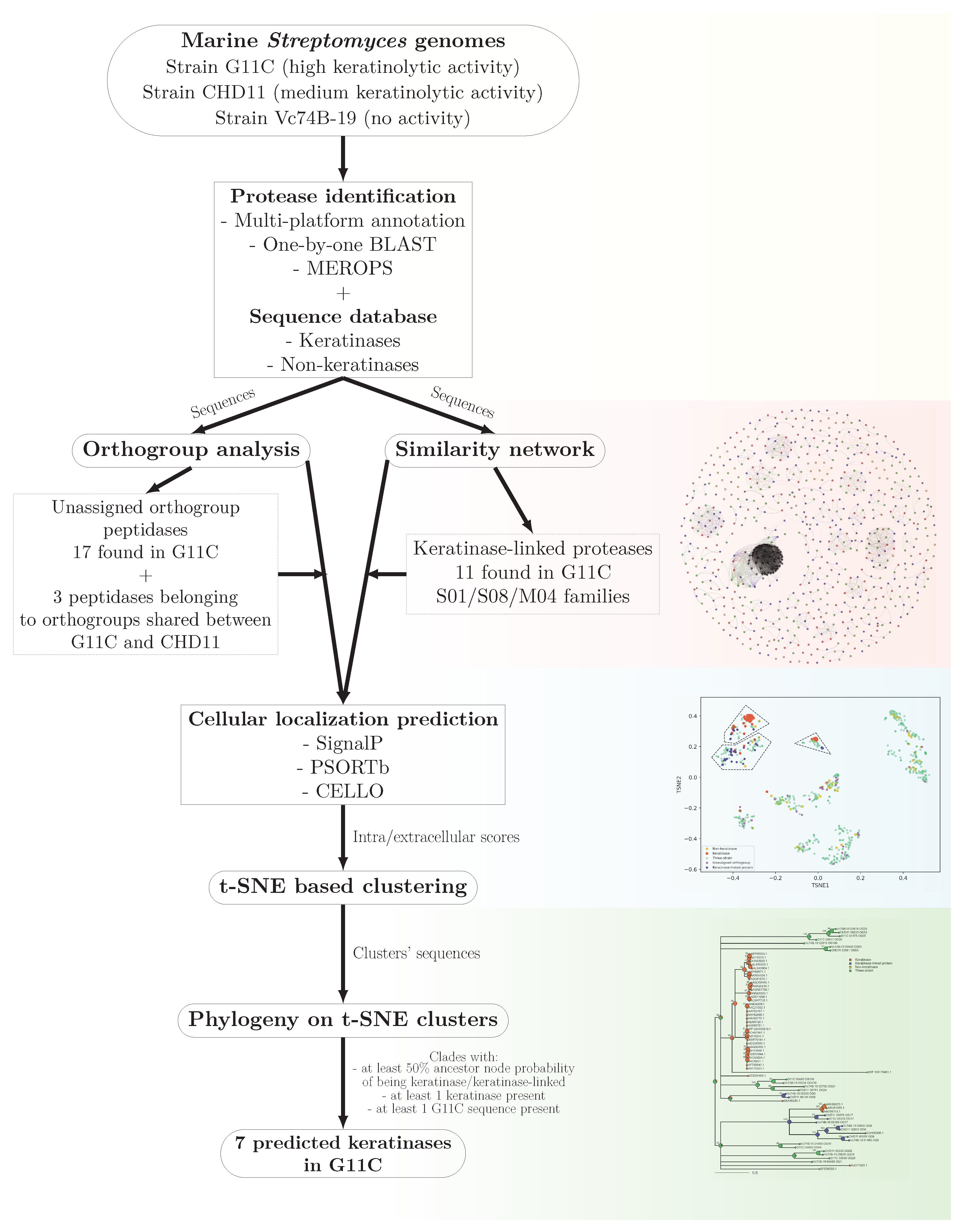 Marinedrugs 19 00286 g006 Marinedrugs 19 00286 g006