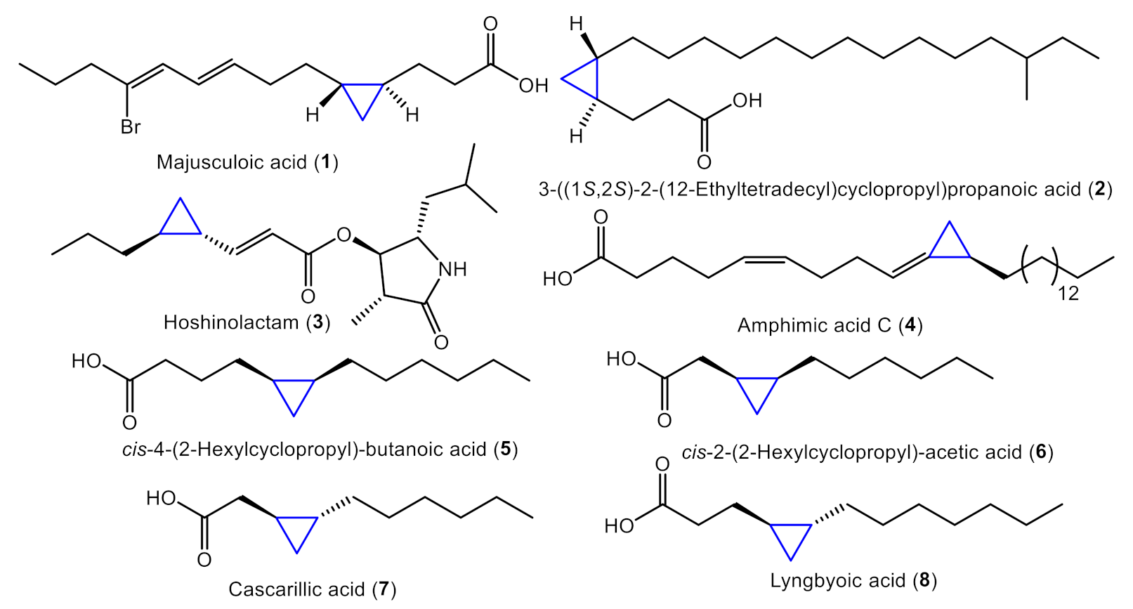 Marinedrugs 19 00288 g001 Marinedrugs 19 00288 g001