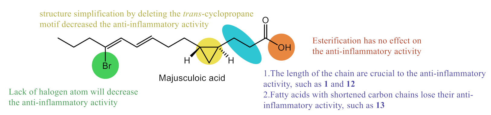 Marinedrugs 19 00288 g003 Marinedrugs 19 00288 g003