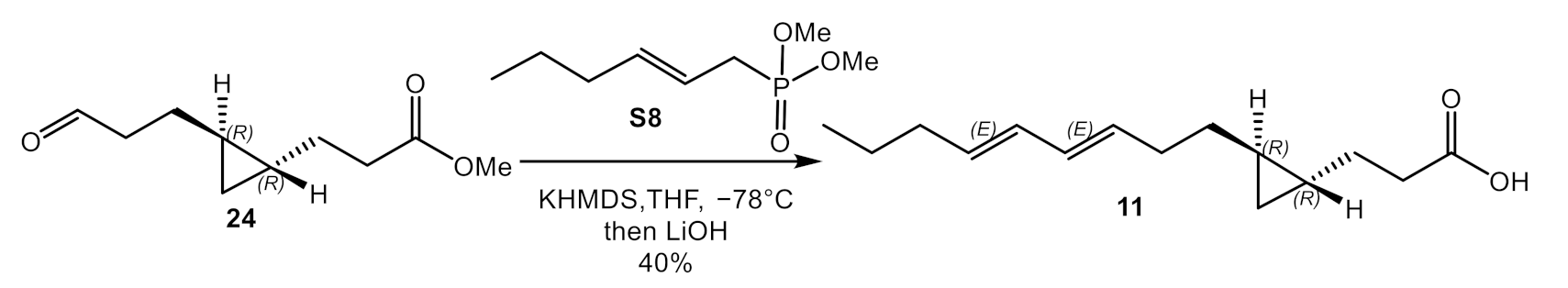 Marinedrugs 19 00288 sch003 Marinedrugs 19 00288 sch003