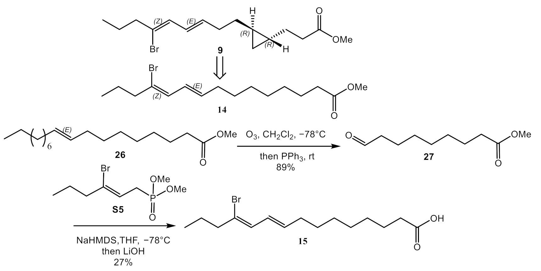 Marinedrugs 19 00288 sch005 Marinedrugs 19 00288 sch005