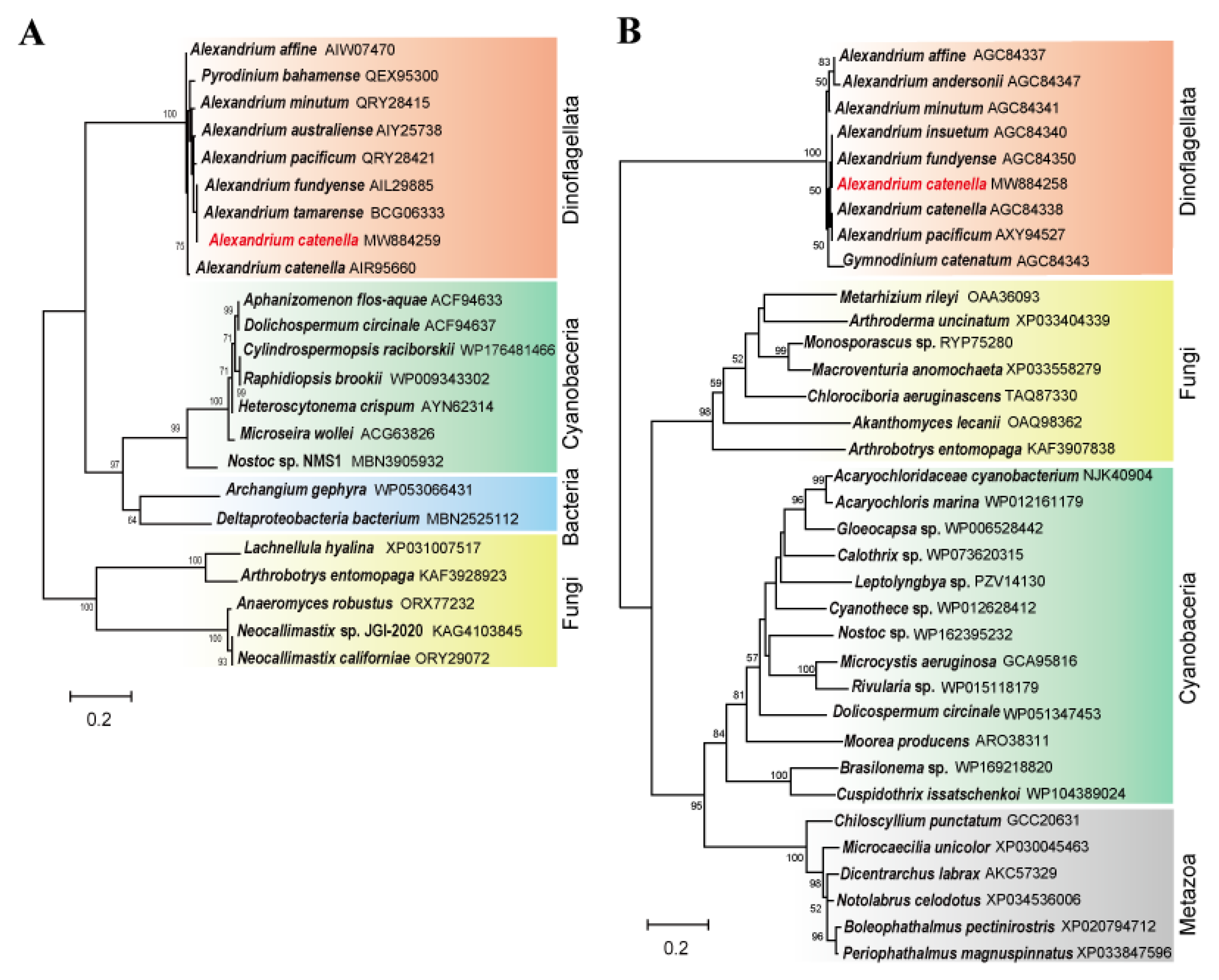 Marinedrugs 19 00291 g002