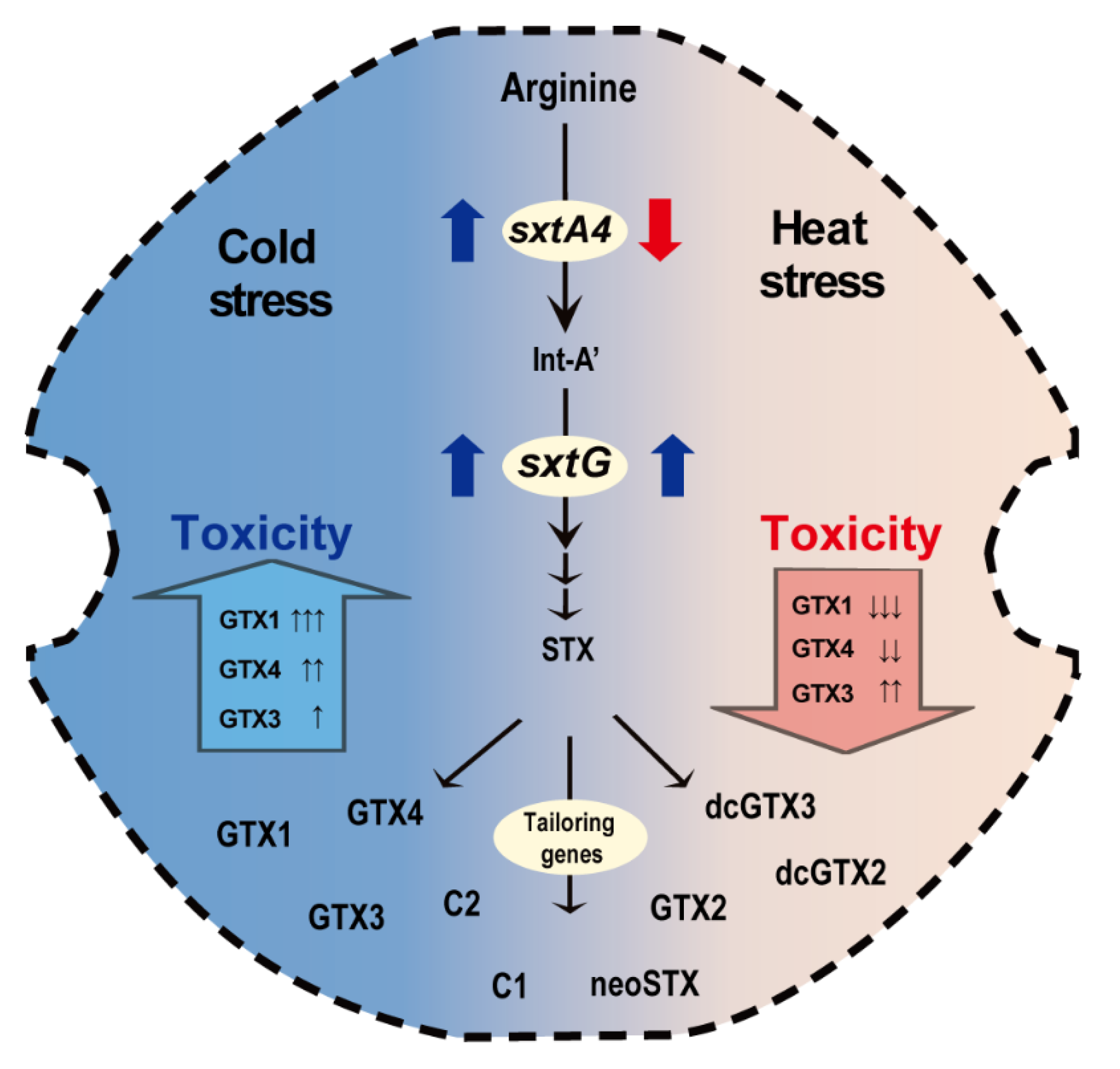 Marinedrugs 19 00291 g006