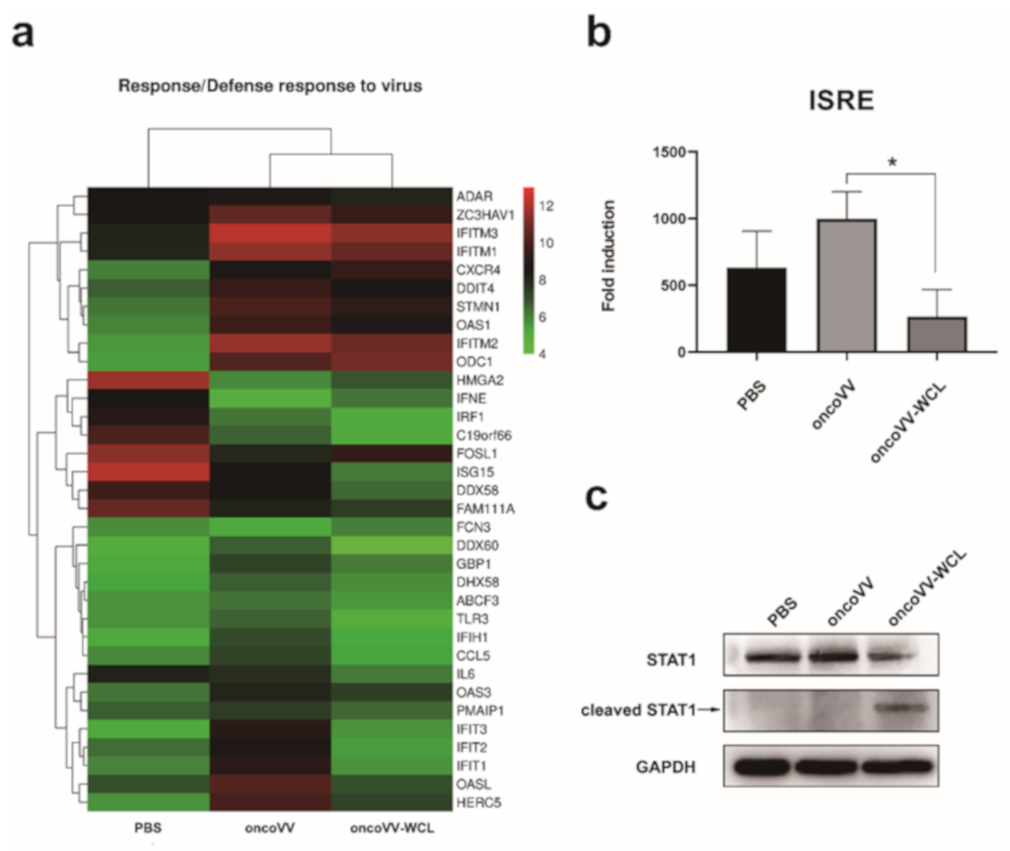 Marinedrugs 19 00292 g005