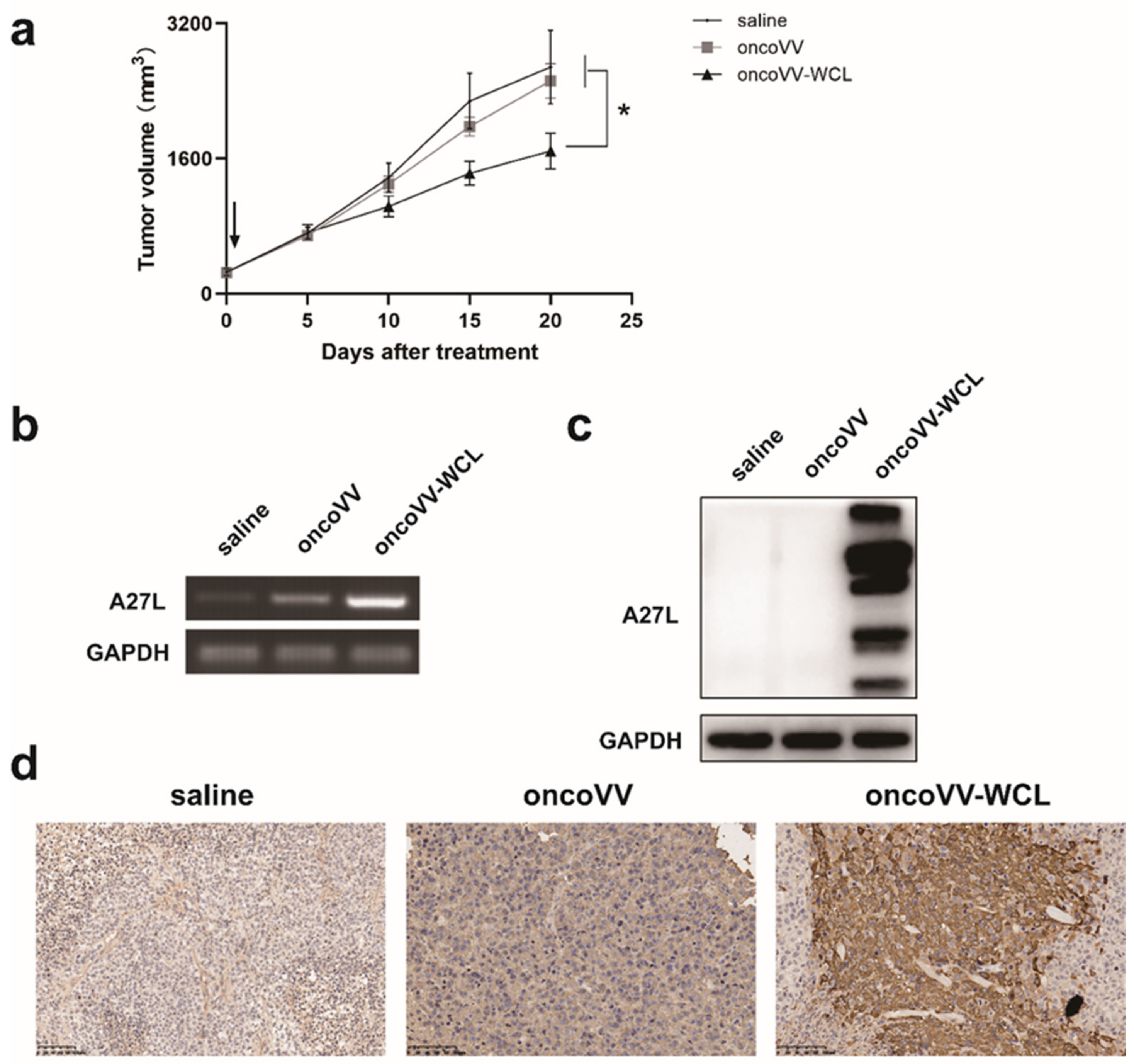Marinedrugs 19 00292 g006