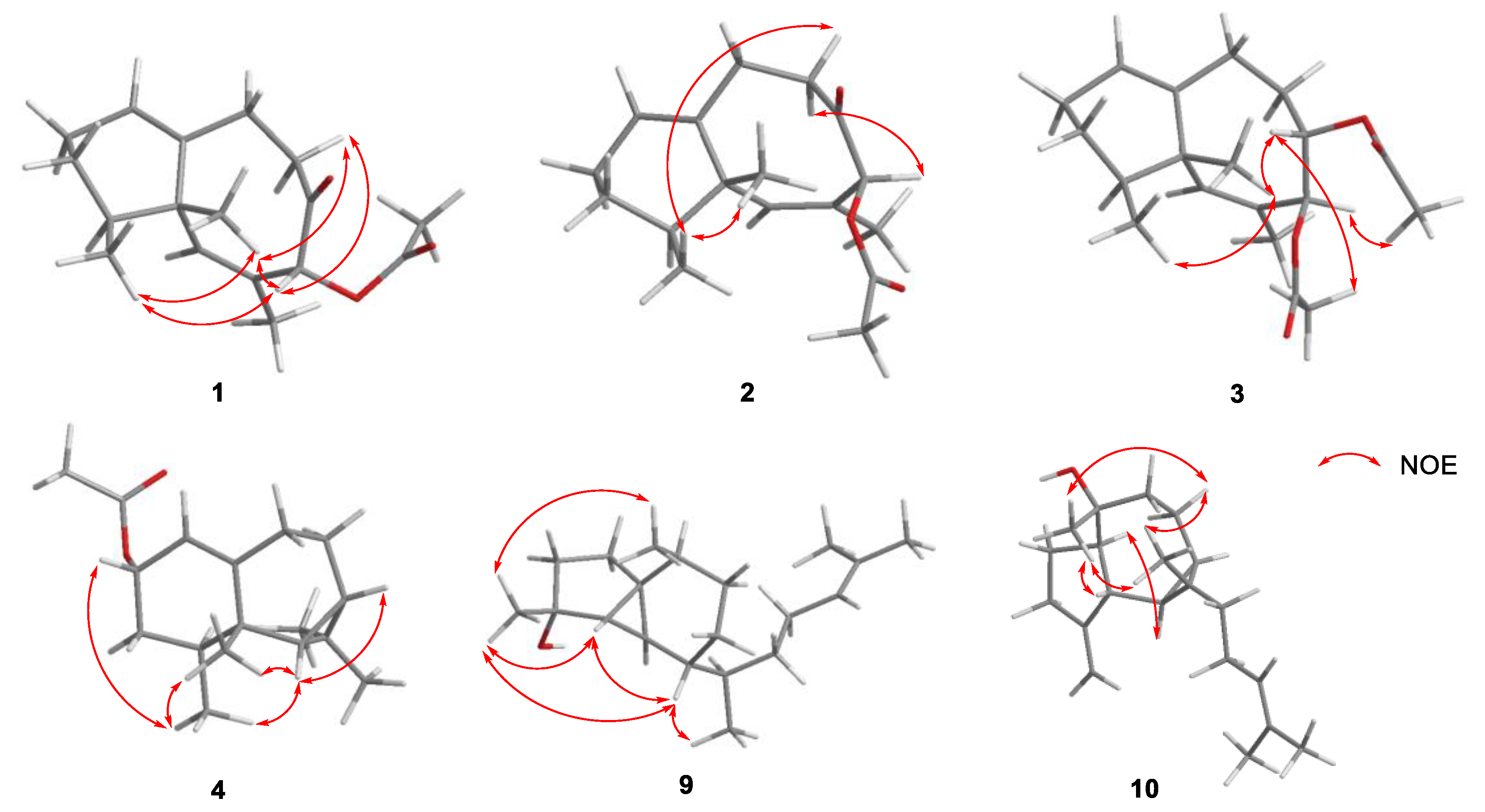 Marinedrugs 19 00294 g003