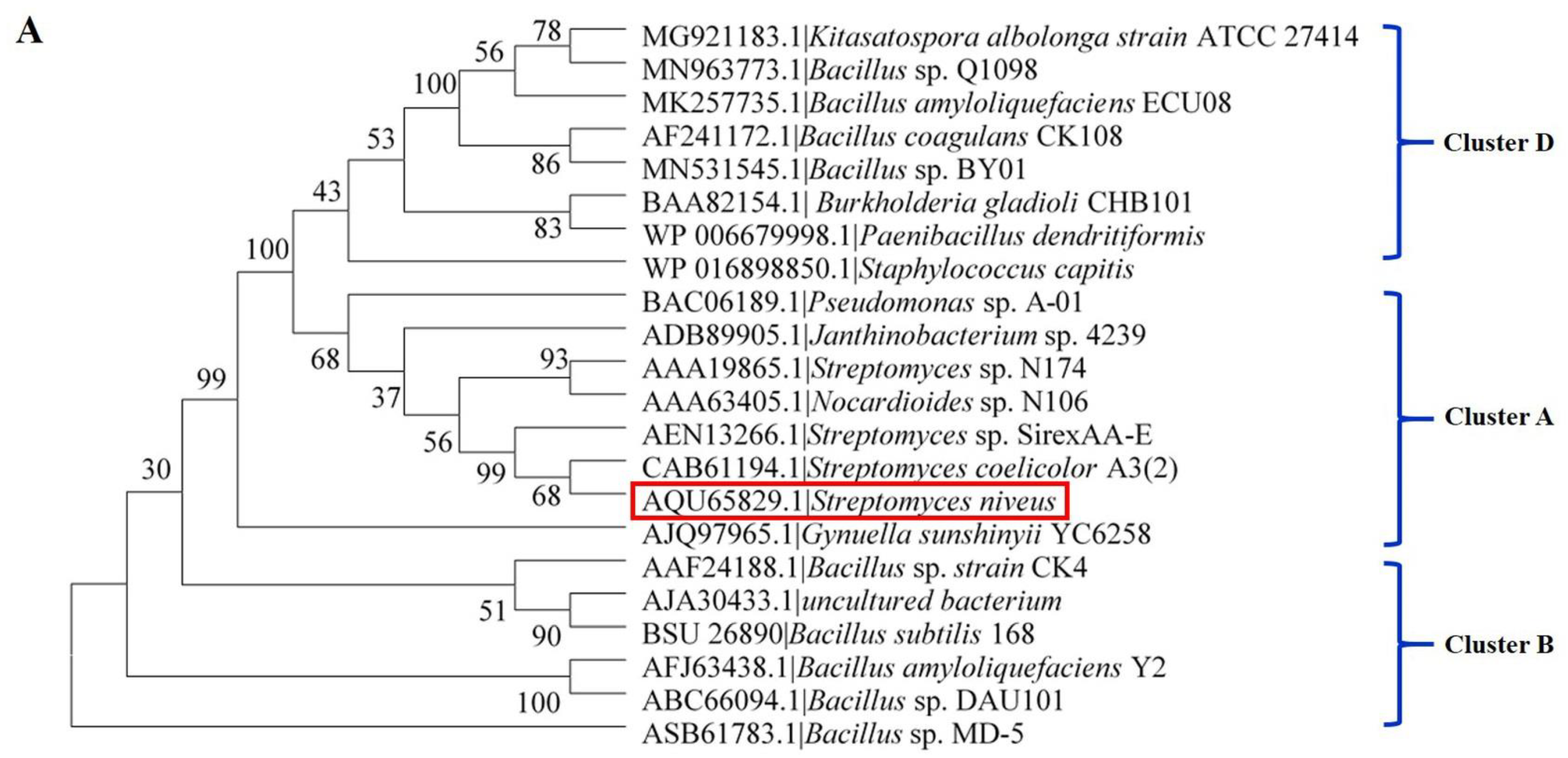 Marinedrugs 19 00300 g002a Marinedrugs 19 00300 g002a