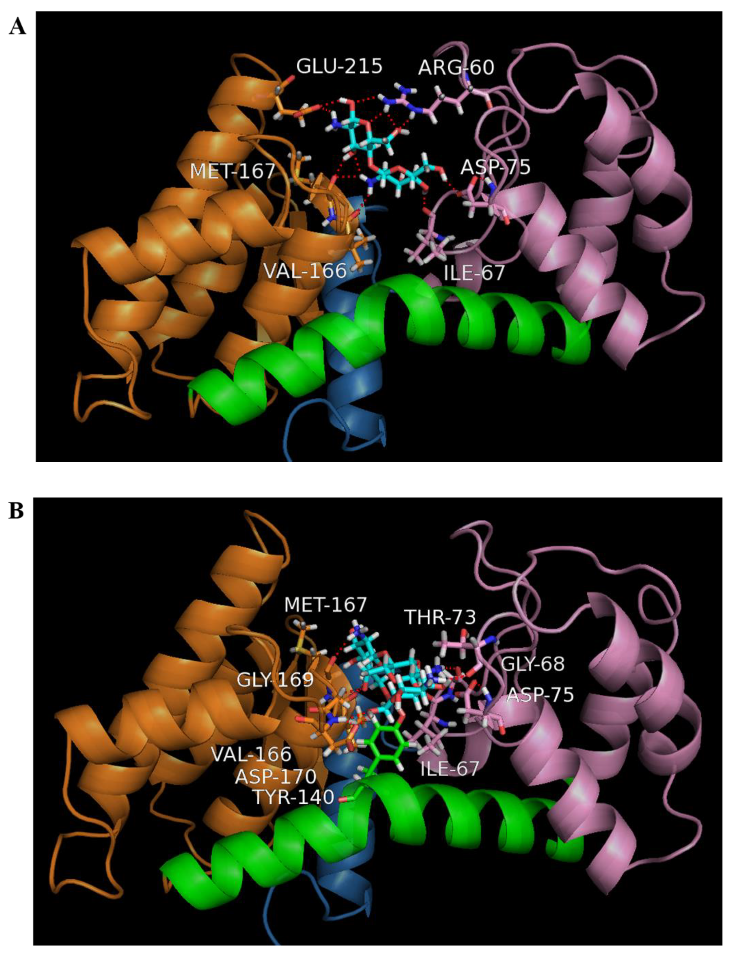 Marinedrugs 19 00300 g003 Marinedrugs 19 00300 g003