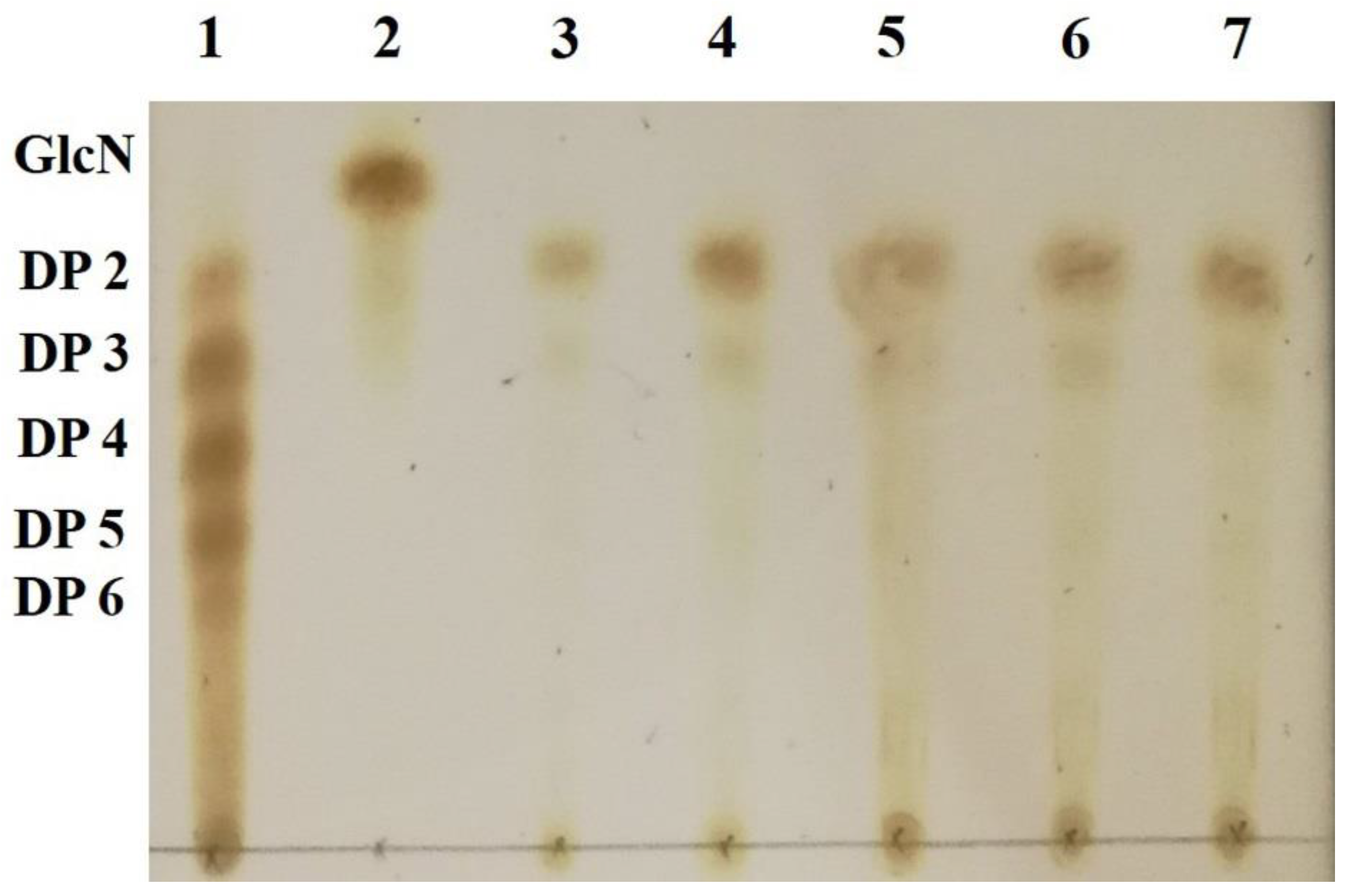 Marinedrugs 19 00300 g010 Marinedrugs 19 00300 g010