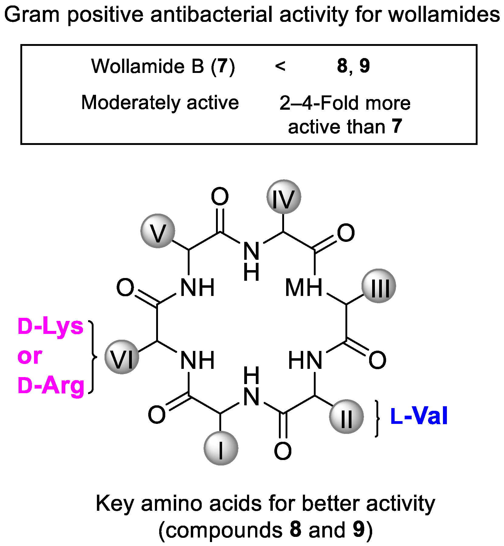 Marinedrugs 19 00303 g003
