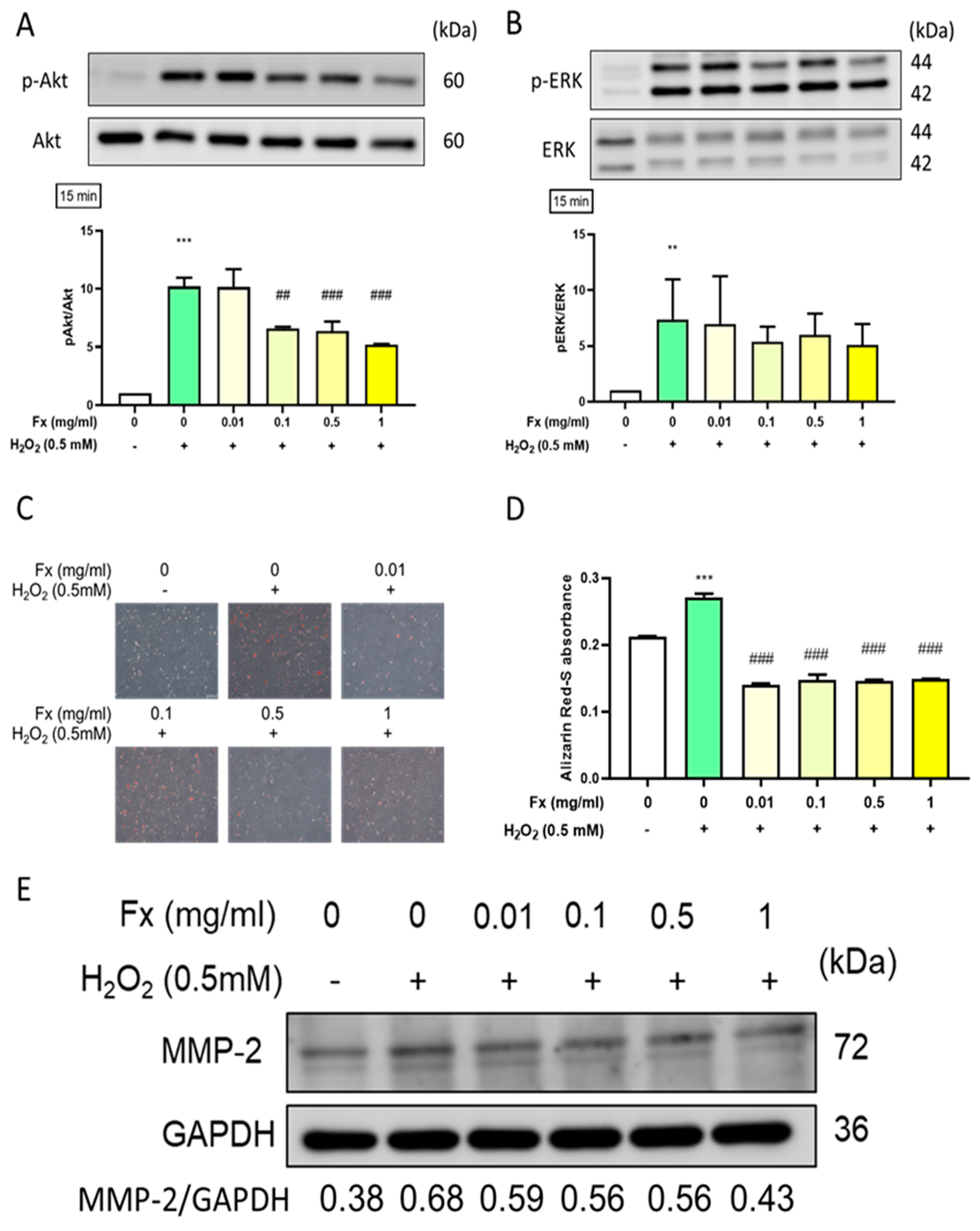 Marinedrugs 19 00307 g004 Marinedrugs 19 00307 g004