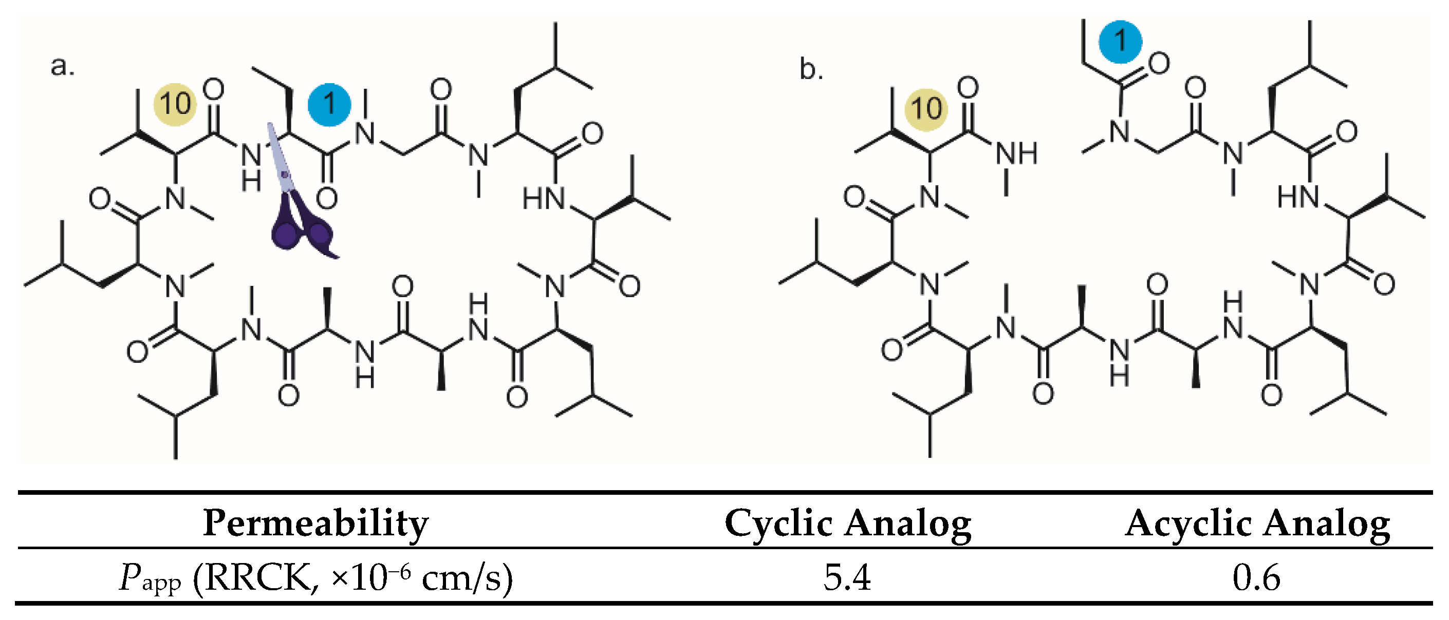 Marinedrugs 19 00311 g002