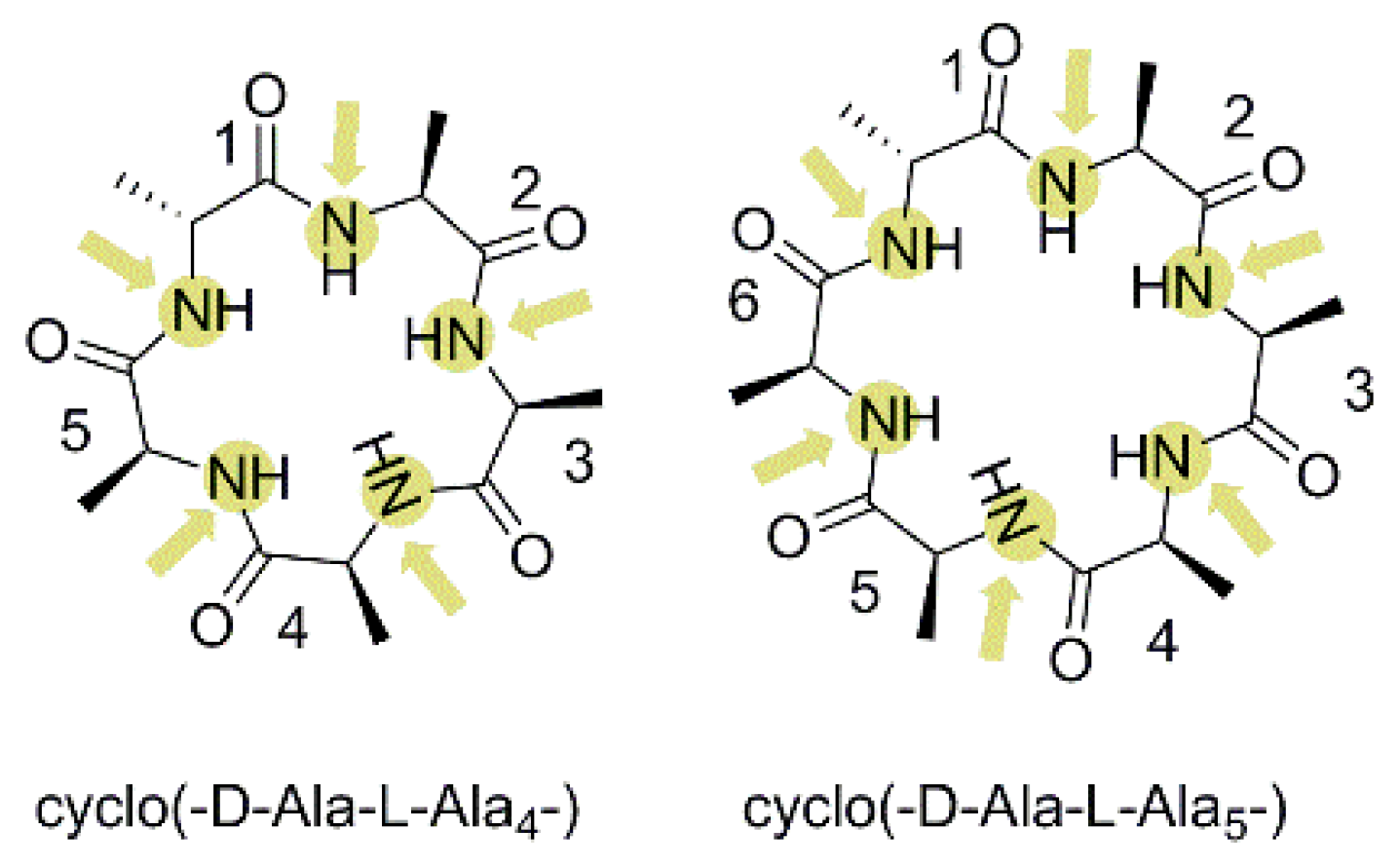 Marinedrugs 19 00311 g006