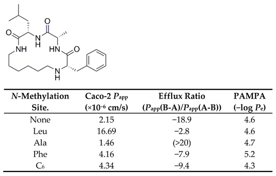 まりね Improvement on Permeability of Cyclic Peptide/Peptidomimetic