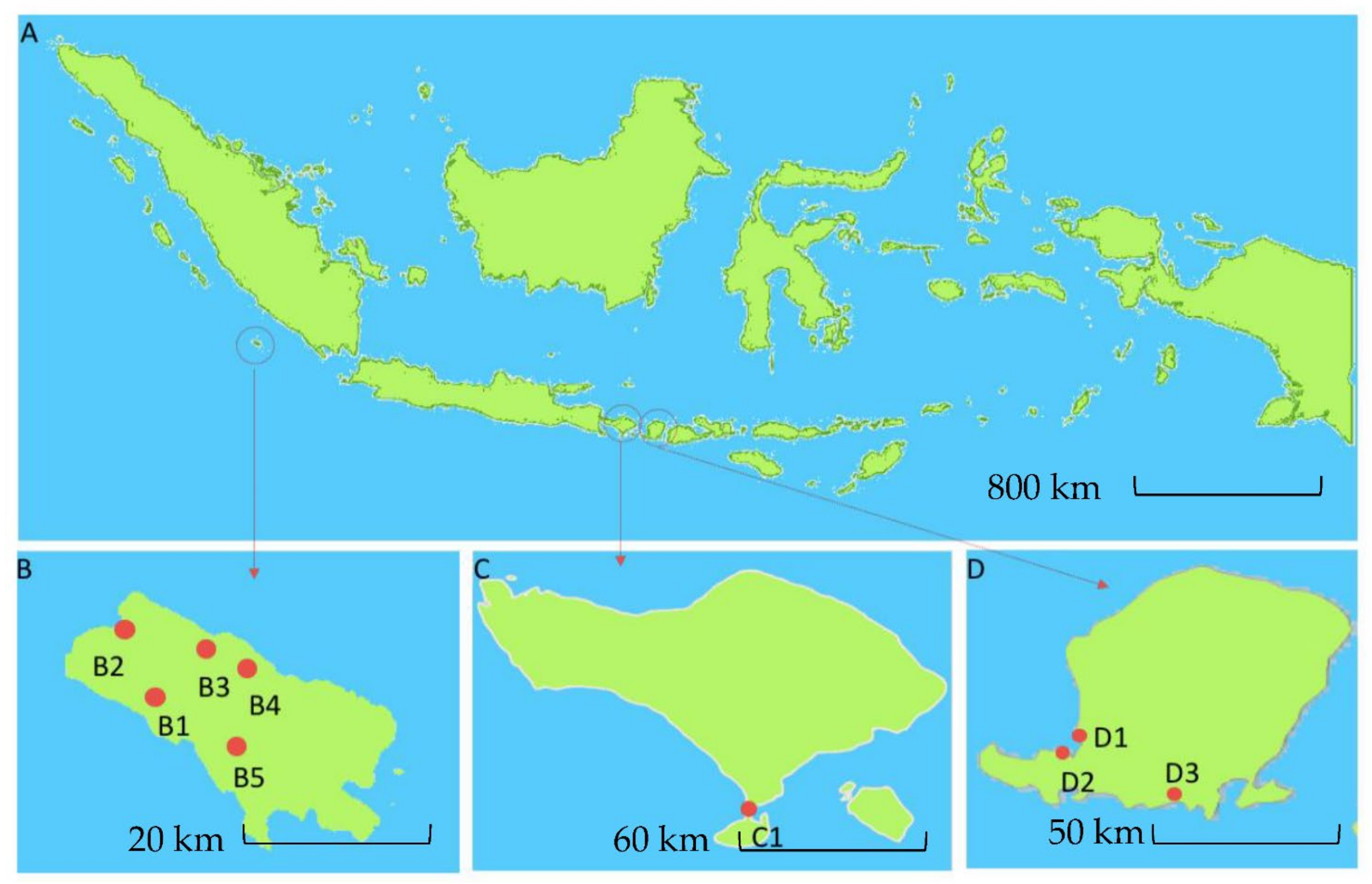 Indo Av Tube Marine Drugs | Free Full-Text | Mining Indonesian Microbial Biodiversity for Novel Natural Compounds by a Combined Genome Mining and Molecular Networking Approach