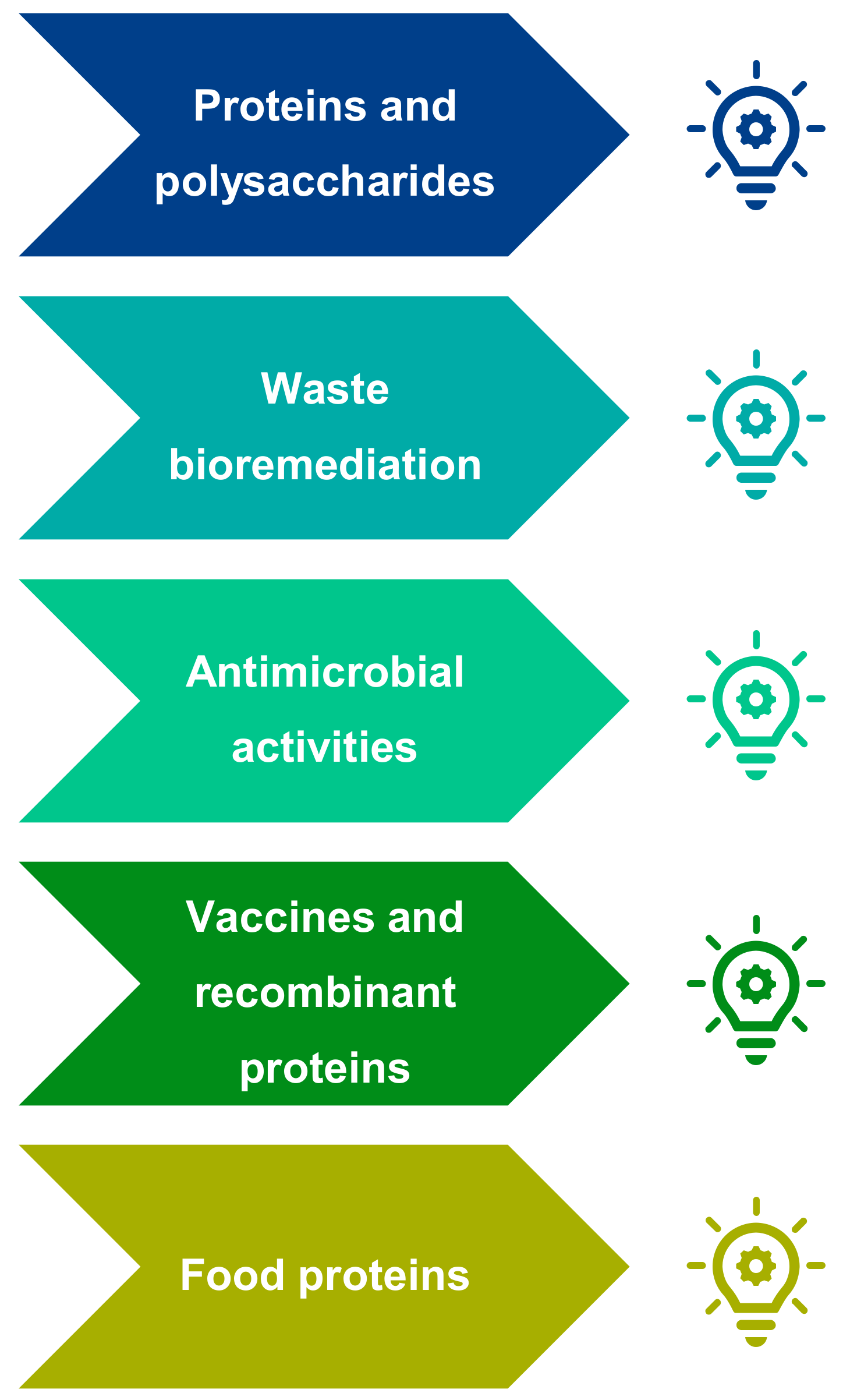 Marinedrugs 19 00319 g015