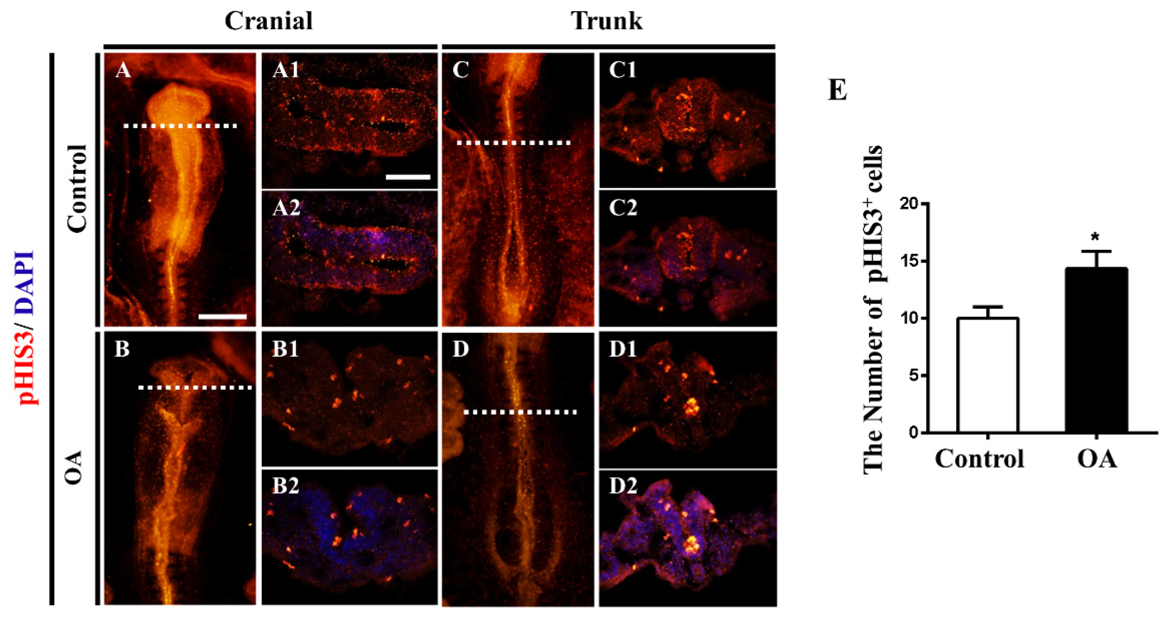 Marinedrugs 19 00322 g004