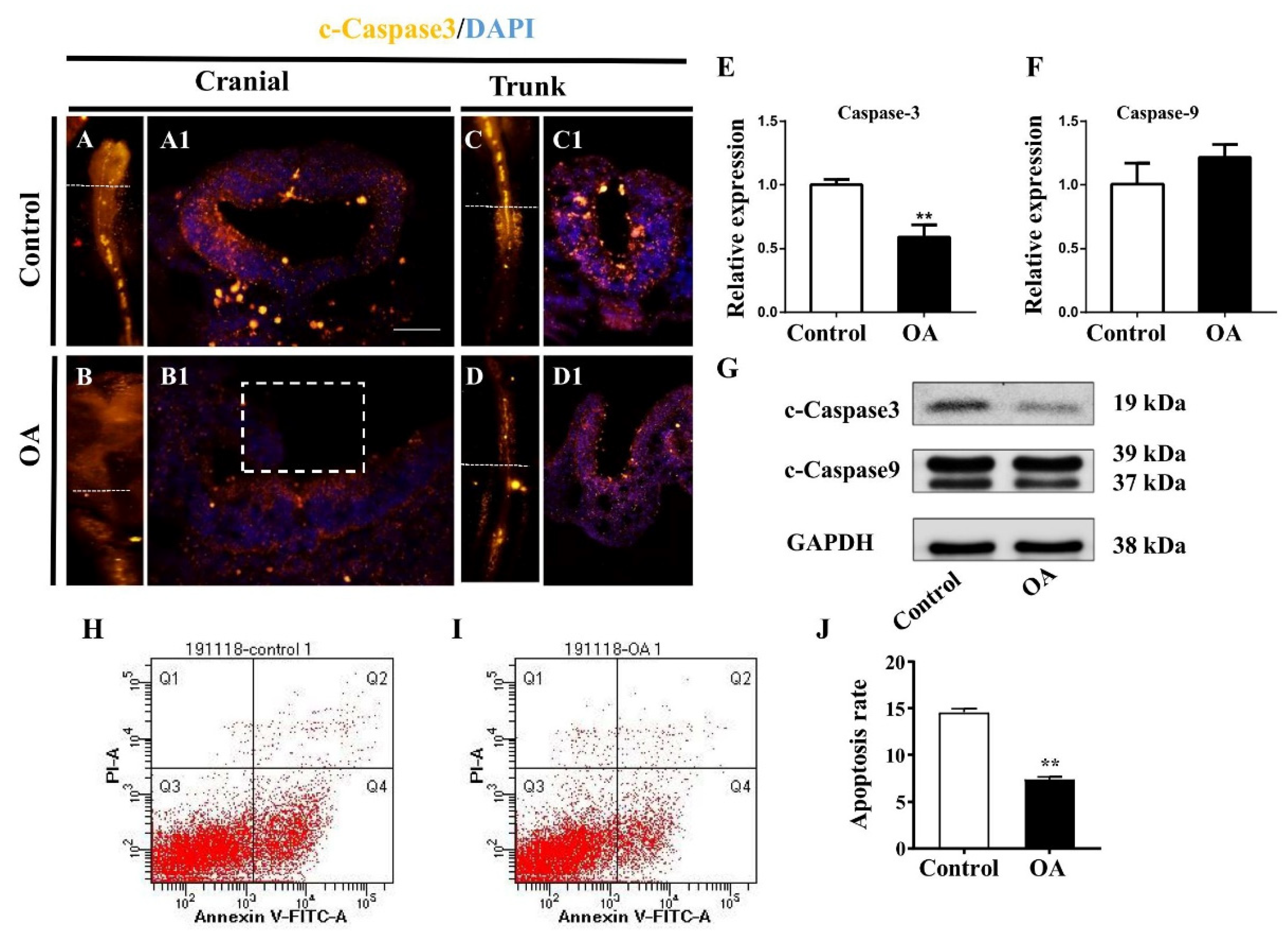 Marinedrugs 19 00322 g005