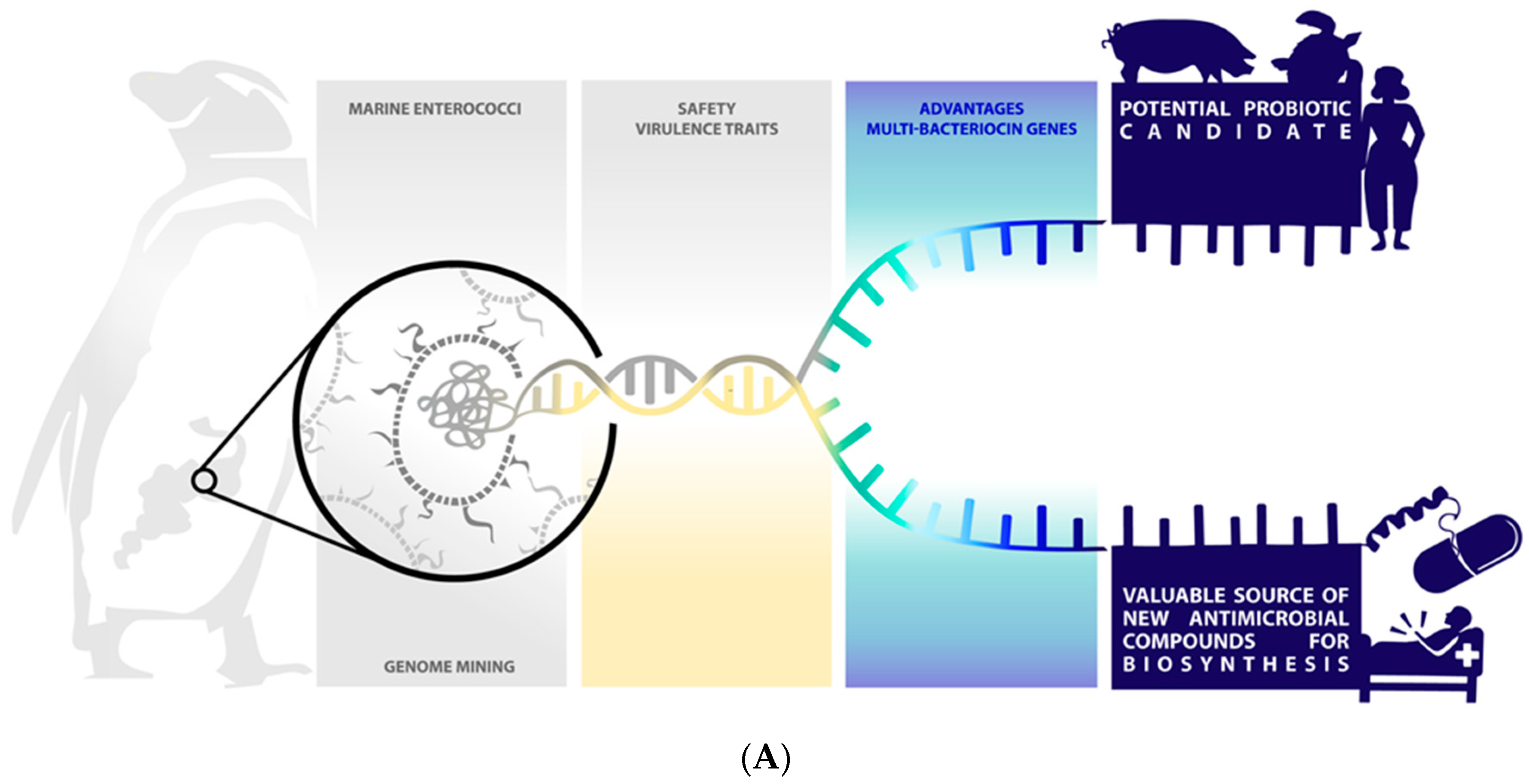 Marinedrugs 19 00328 g005a Marinedrugs 19 00328 g005a