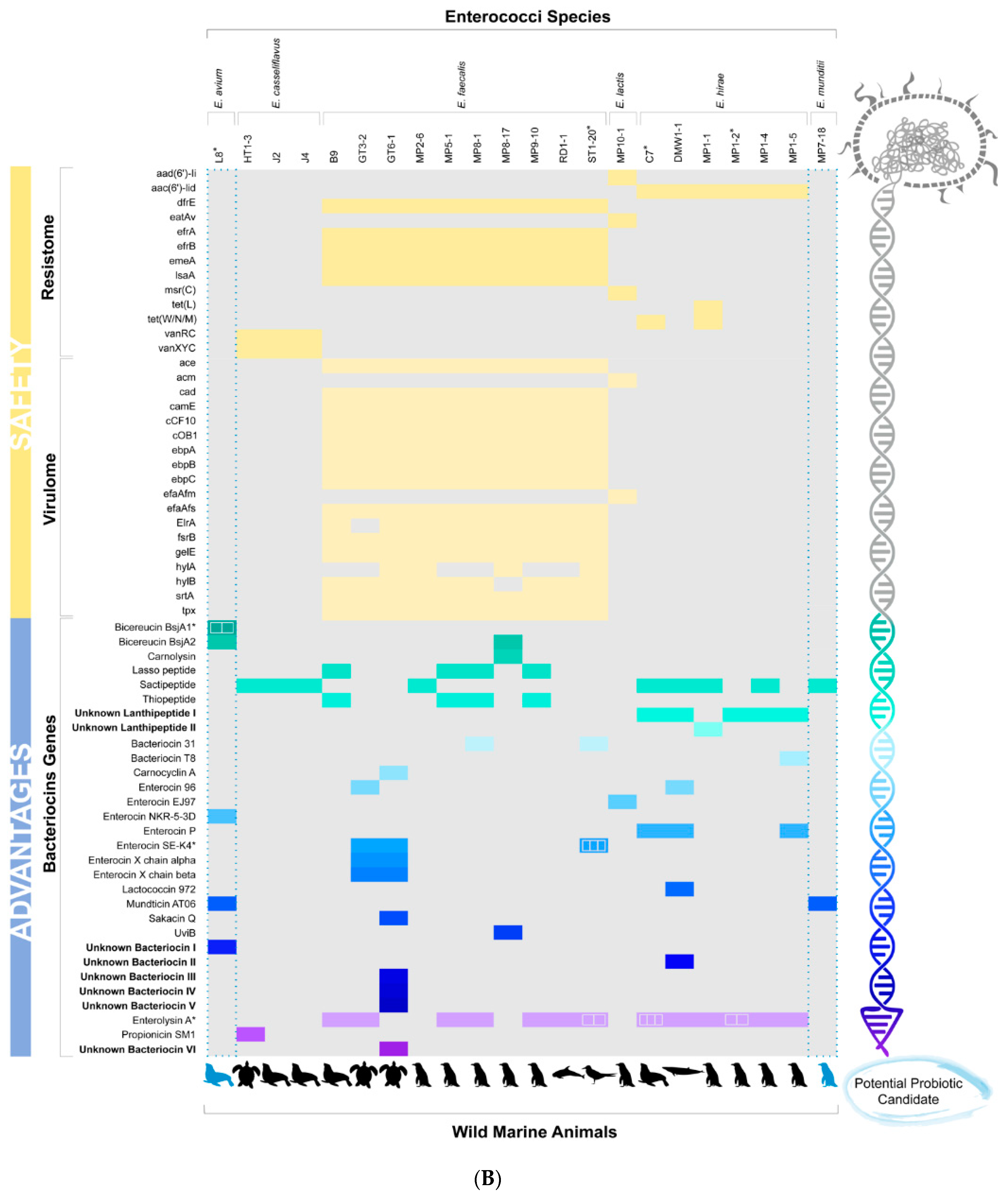 Marinedrugs 19 00328 g005b Marinedrugs 19 00328 g005b