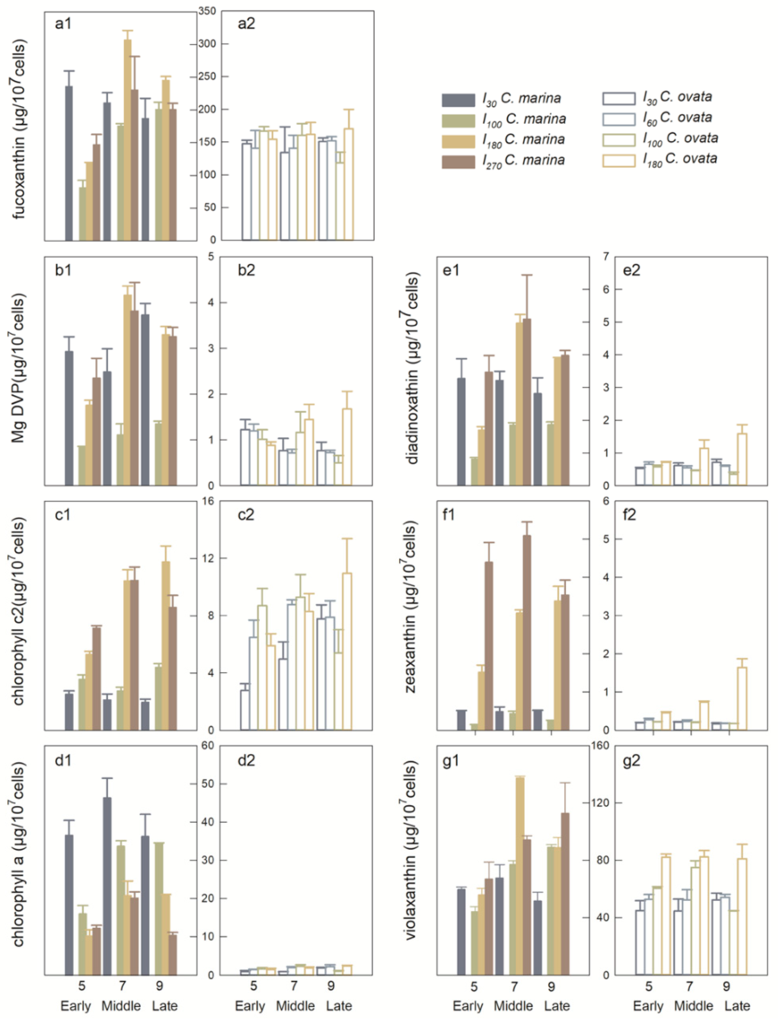 Marinedrugs 19 00336 g004 Marinedrugs 19 00336 g004