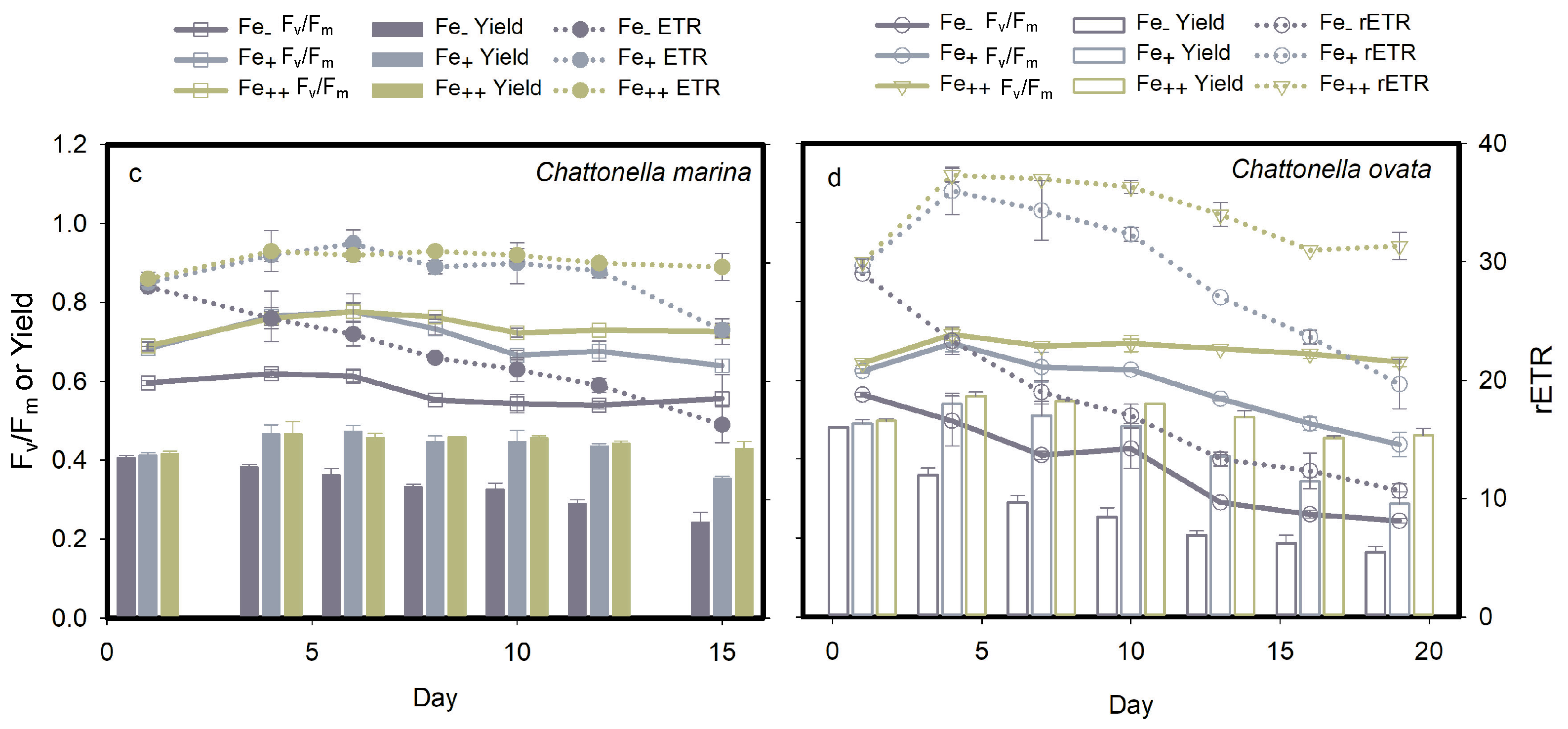 Marinedrugs 19 00336 g009 Marinedrugs 19 00336 g009