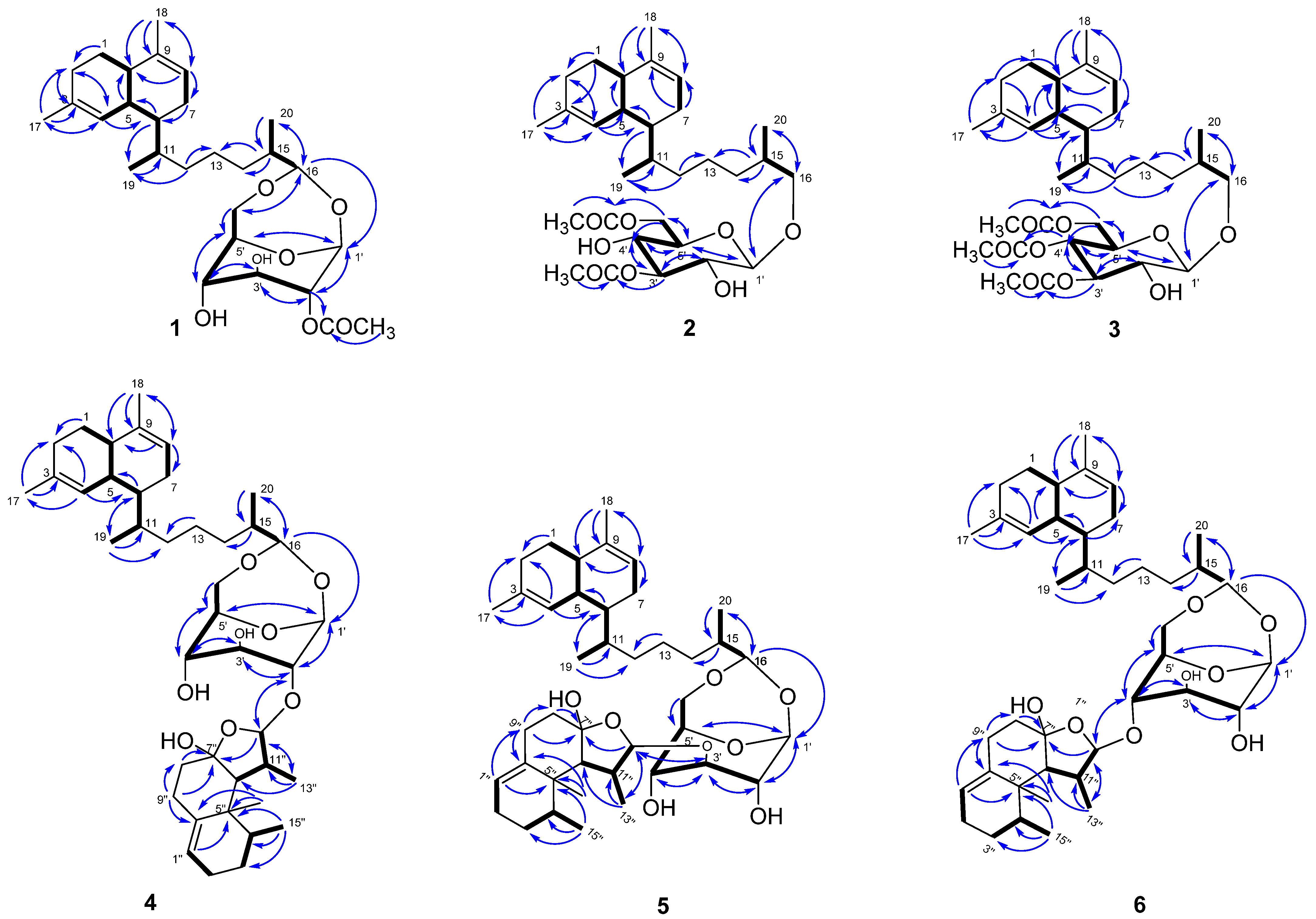 Marinedrugs 19 00339 g002