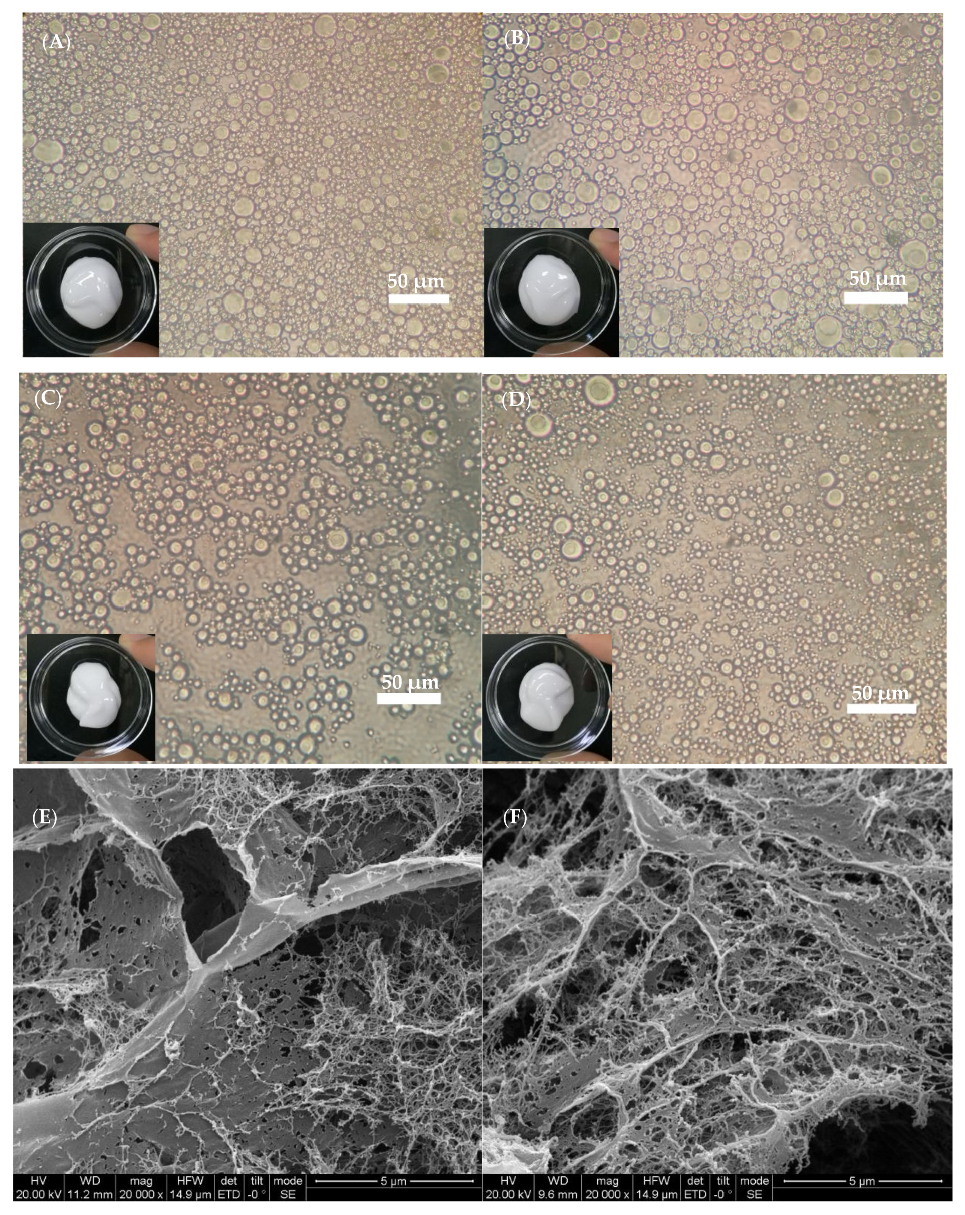 Marinedrugs 19 00344 g008