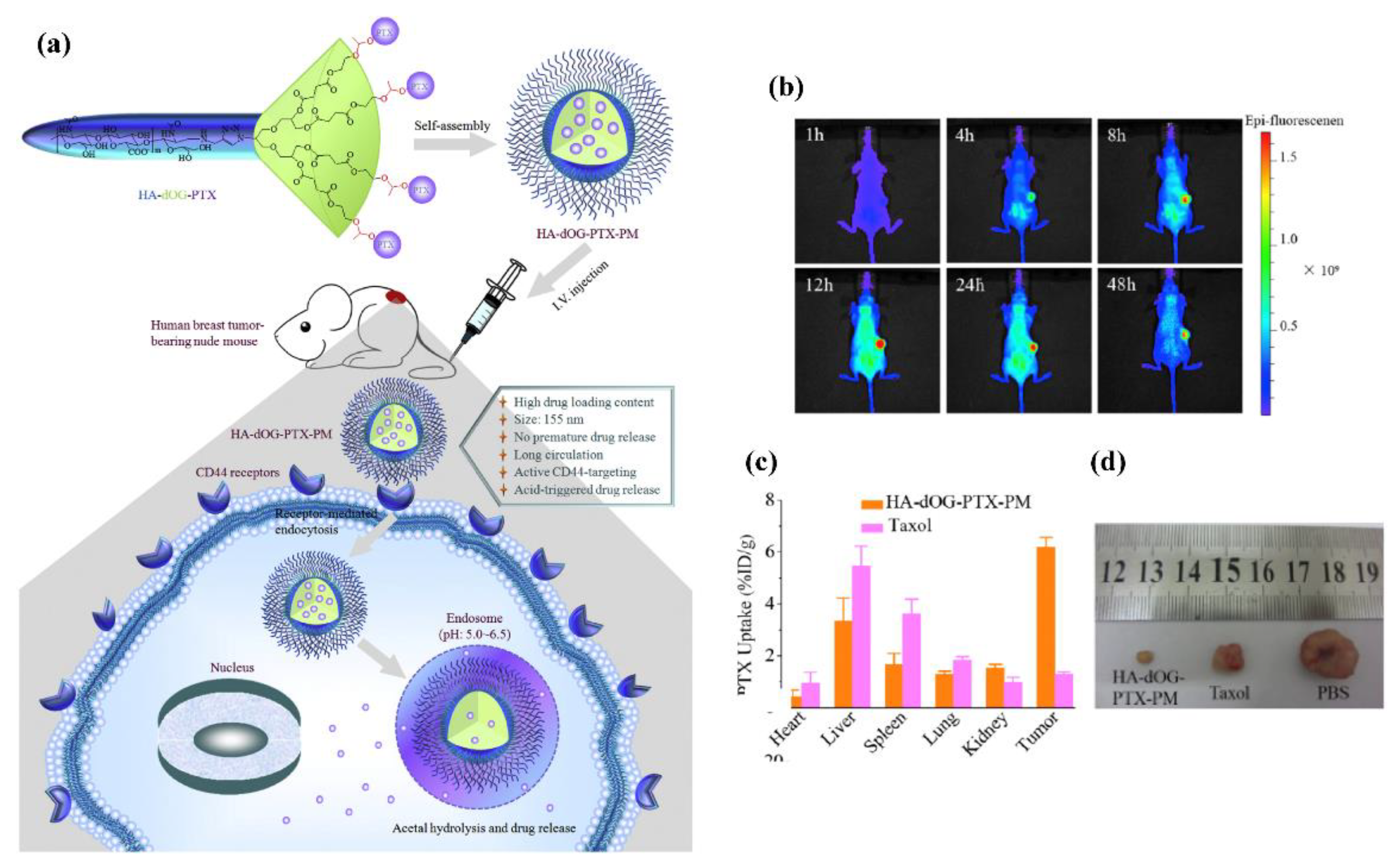 Marinedrugs 19 00345 g004