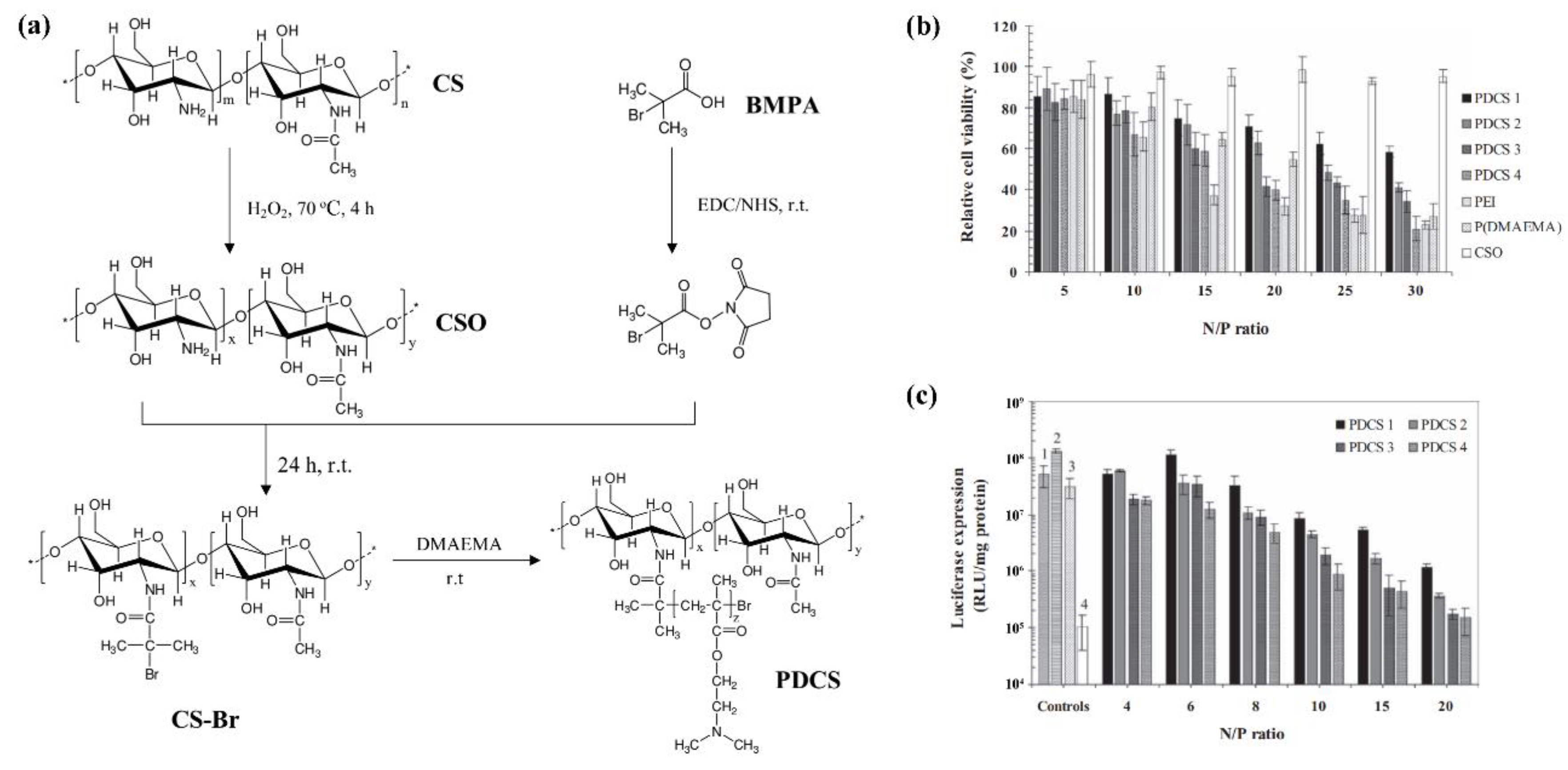 Marinedrugs 19 00345 g007
