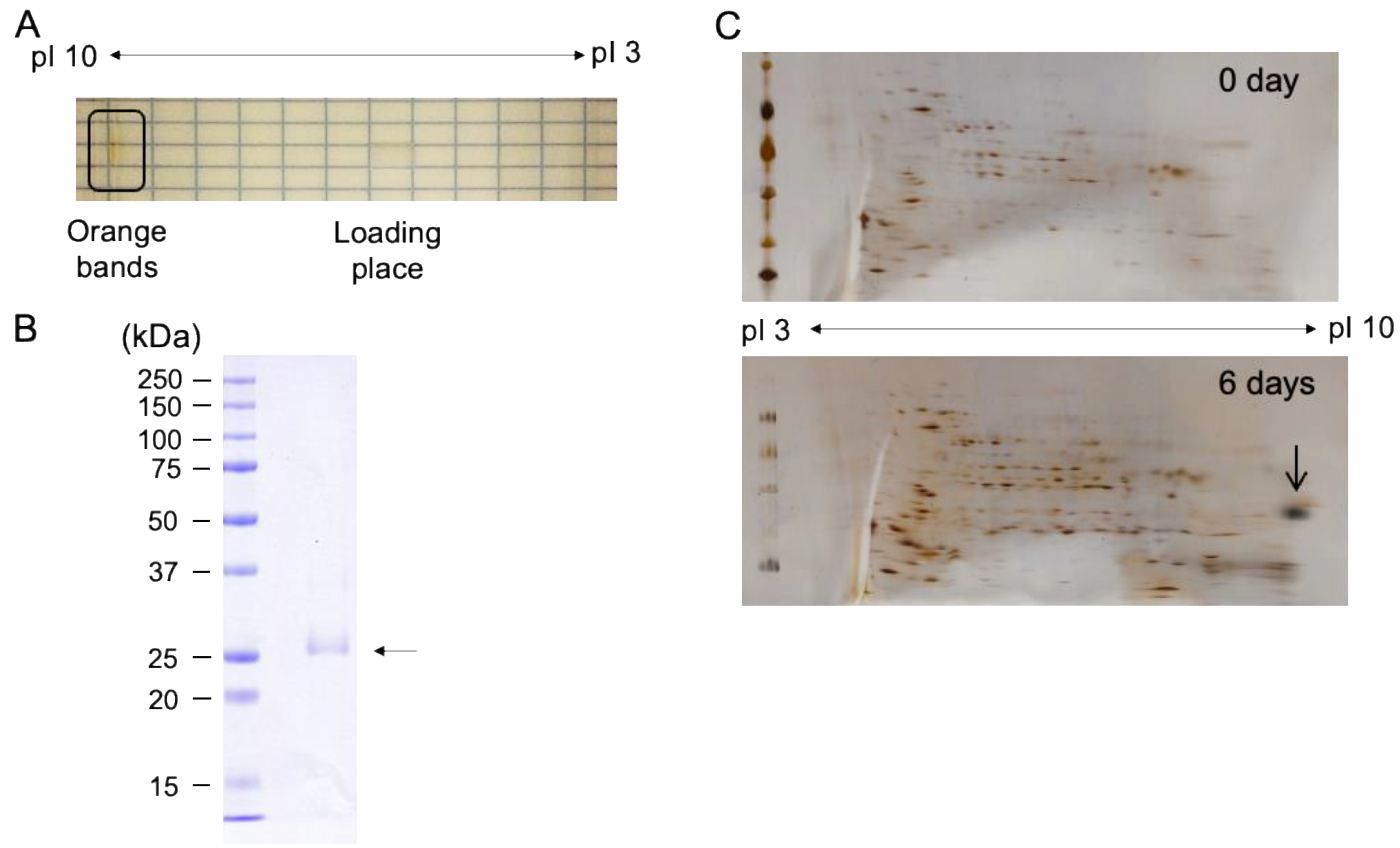 Marinedrugs 19 00349 g005 550