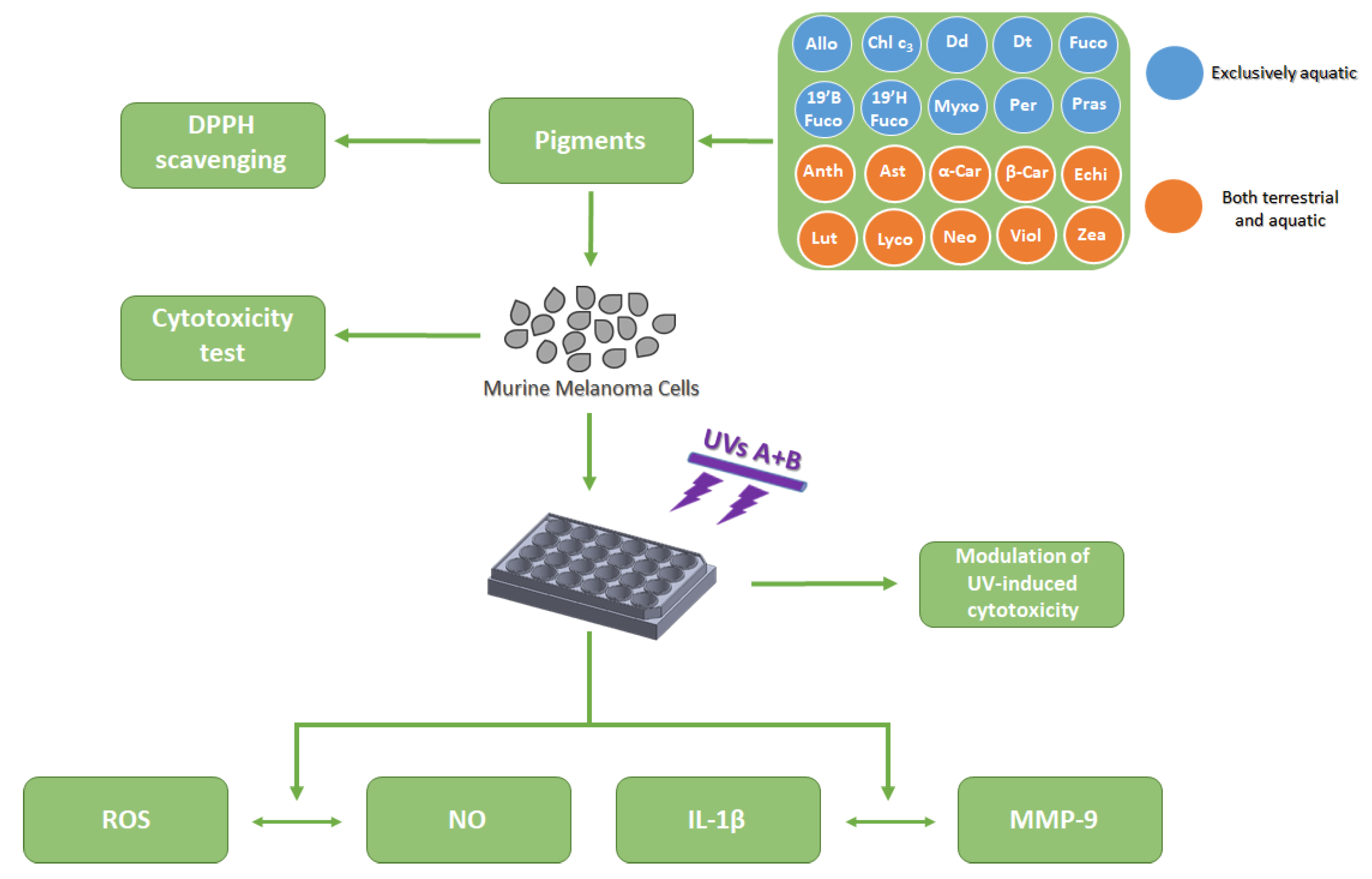 Marinedrugs 19 00354 g007 Marinedrugs 19 00354 g007