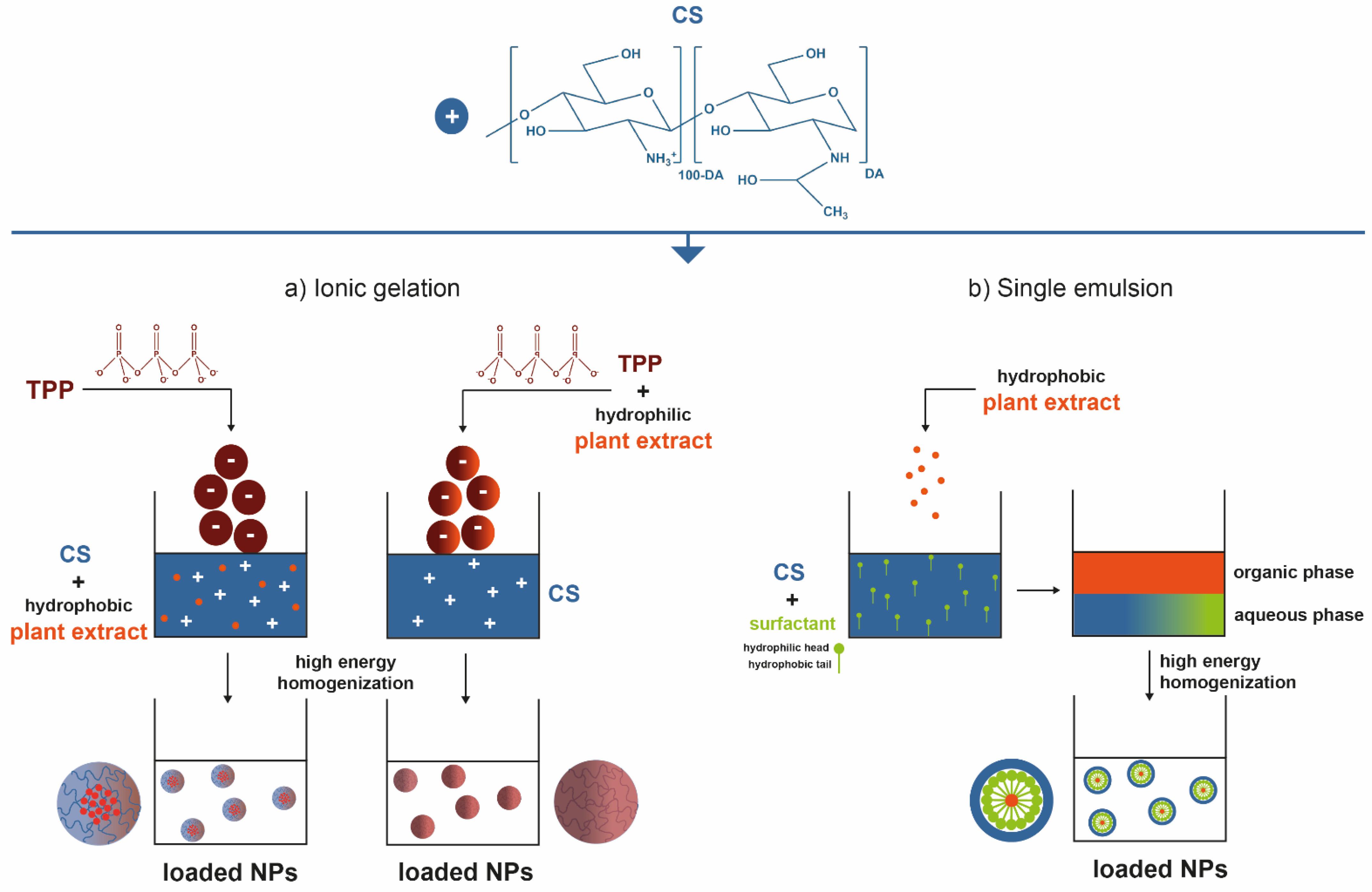 Marinedrugs 19 00359 g002