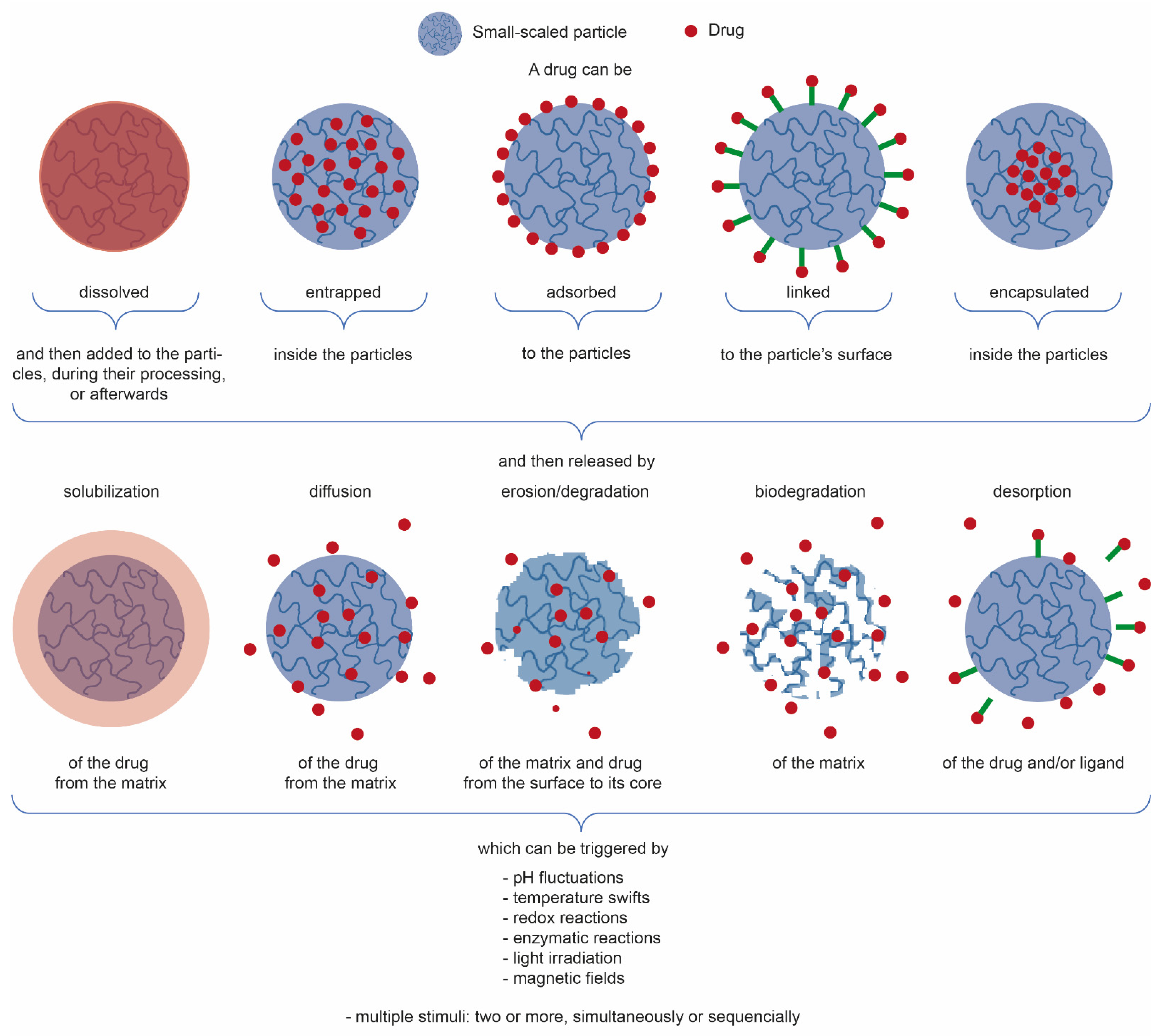 Marinedrugs 19 00359 g003