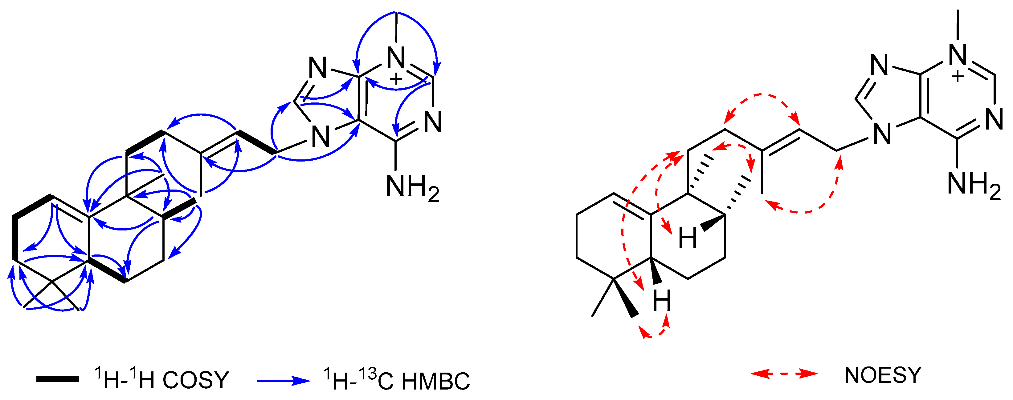 Marinedrugs 19 00361 g002