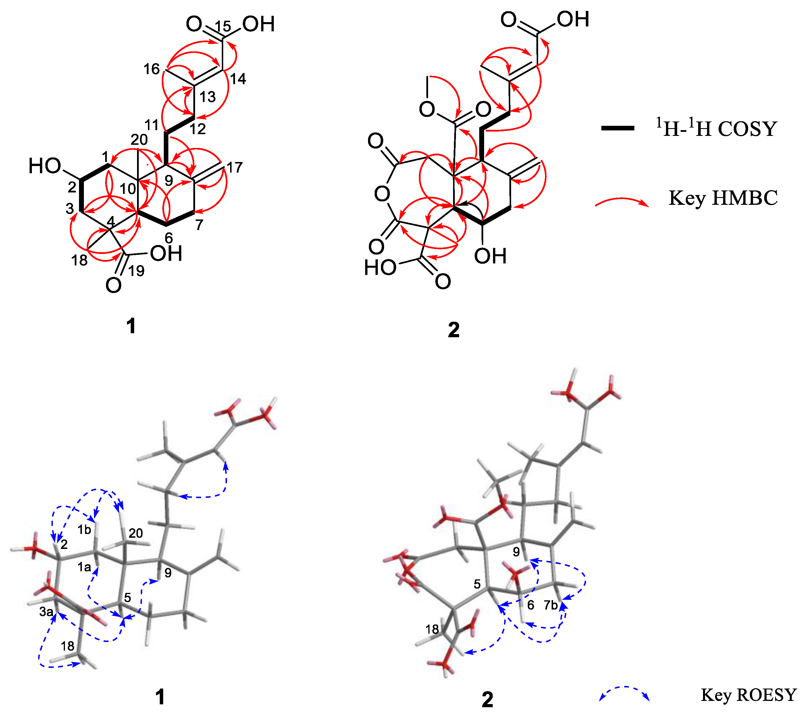 Marinedrugs 19 00362 g002