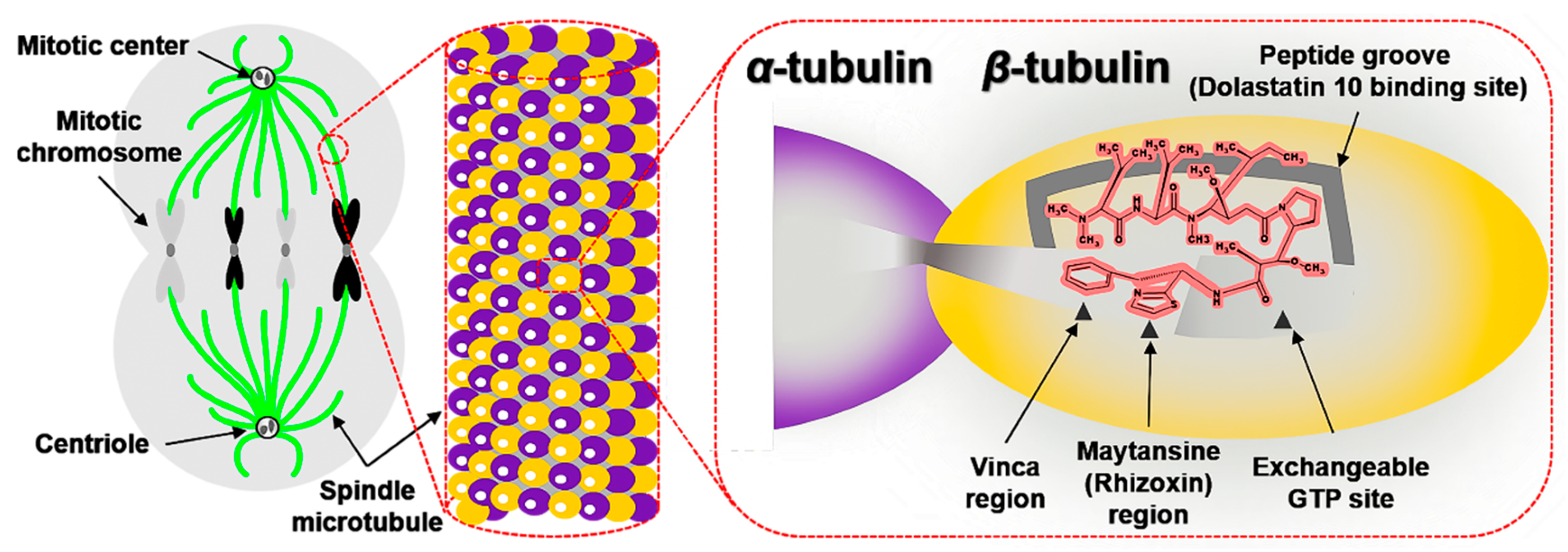 Marinedrugs 19 00363 g003 550