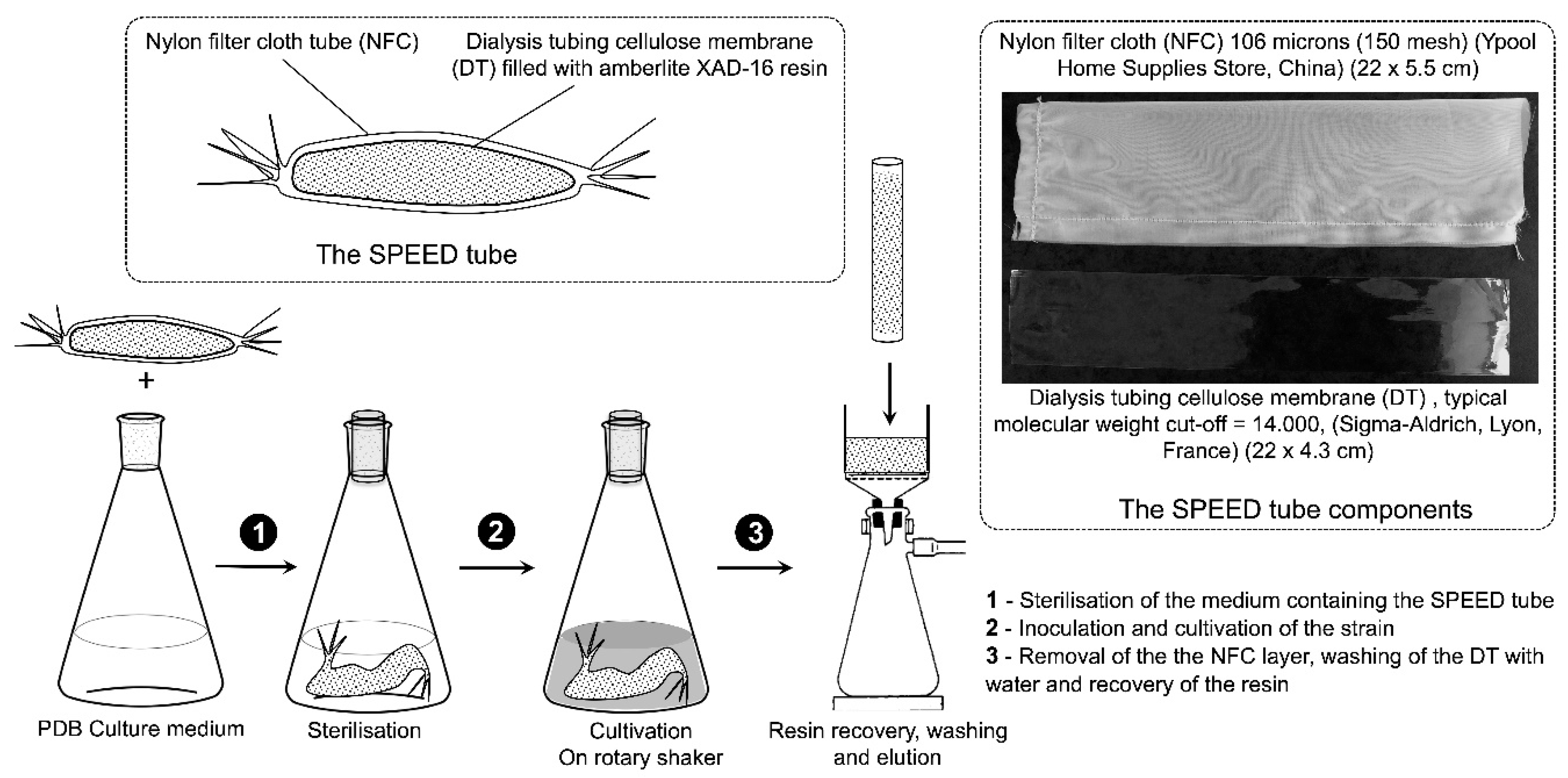 Marinedrugs 19 00371 g001