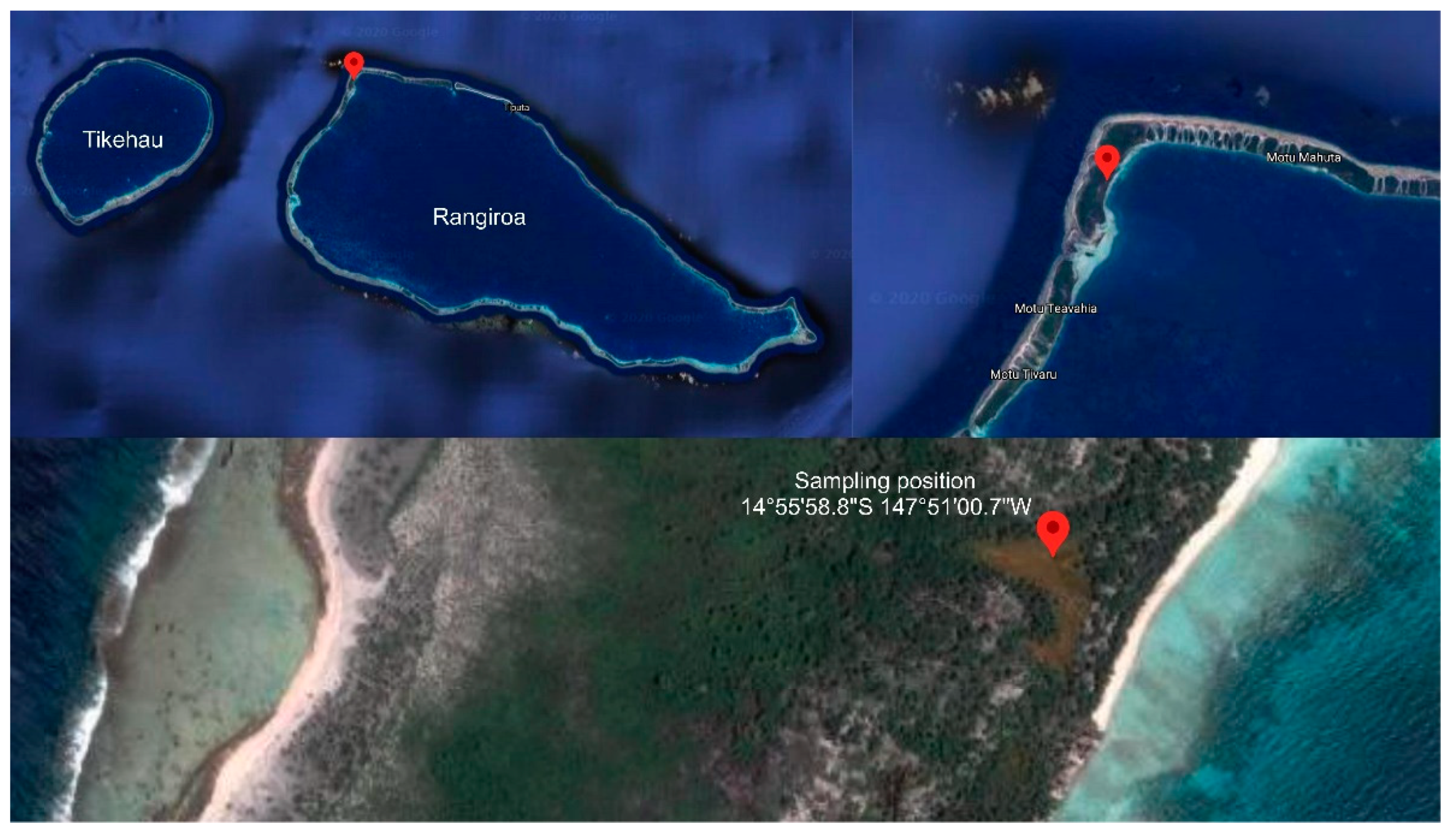 Marinedrugs 19 00371 g002