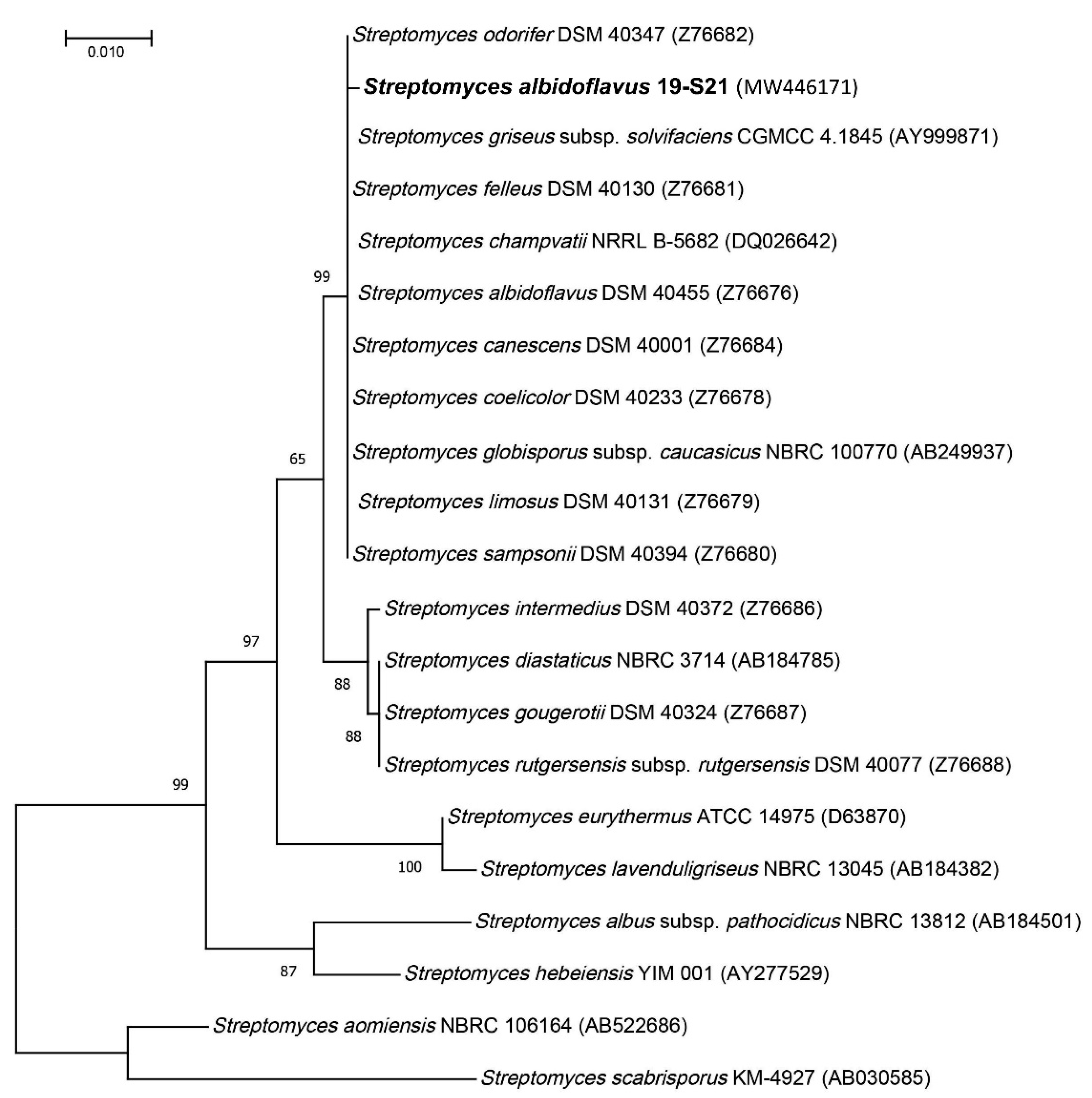 Marinedrugs 19 00371 g003