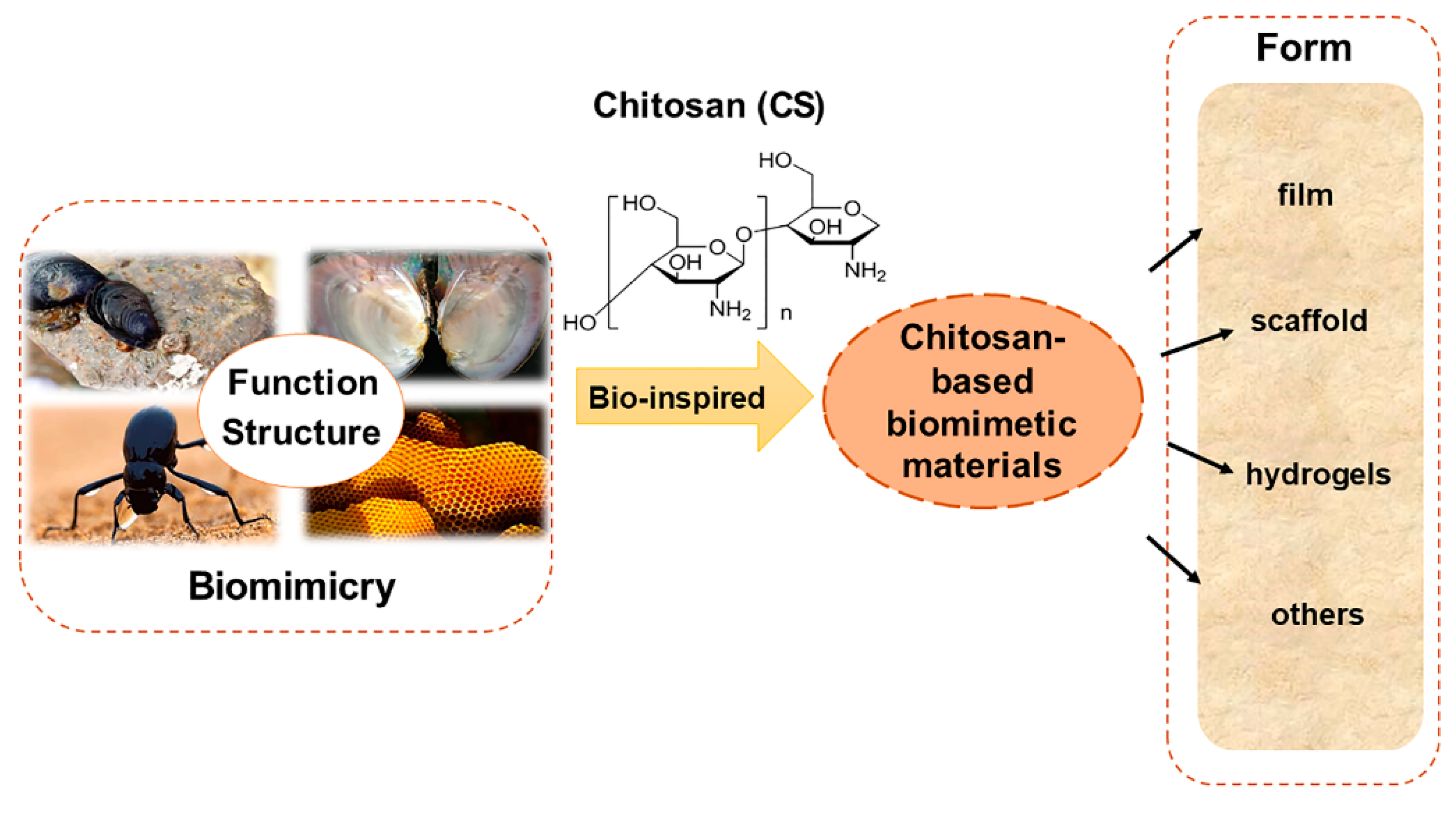 Marinedrugs 19 00372 g001