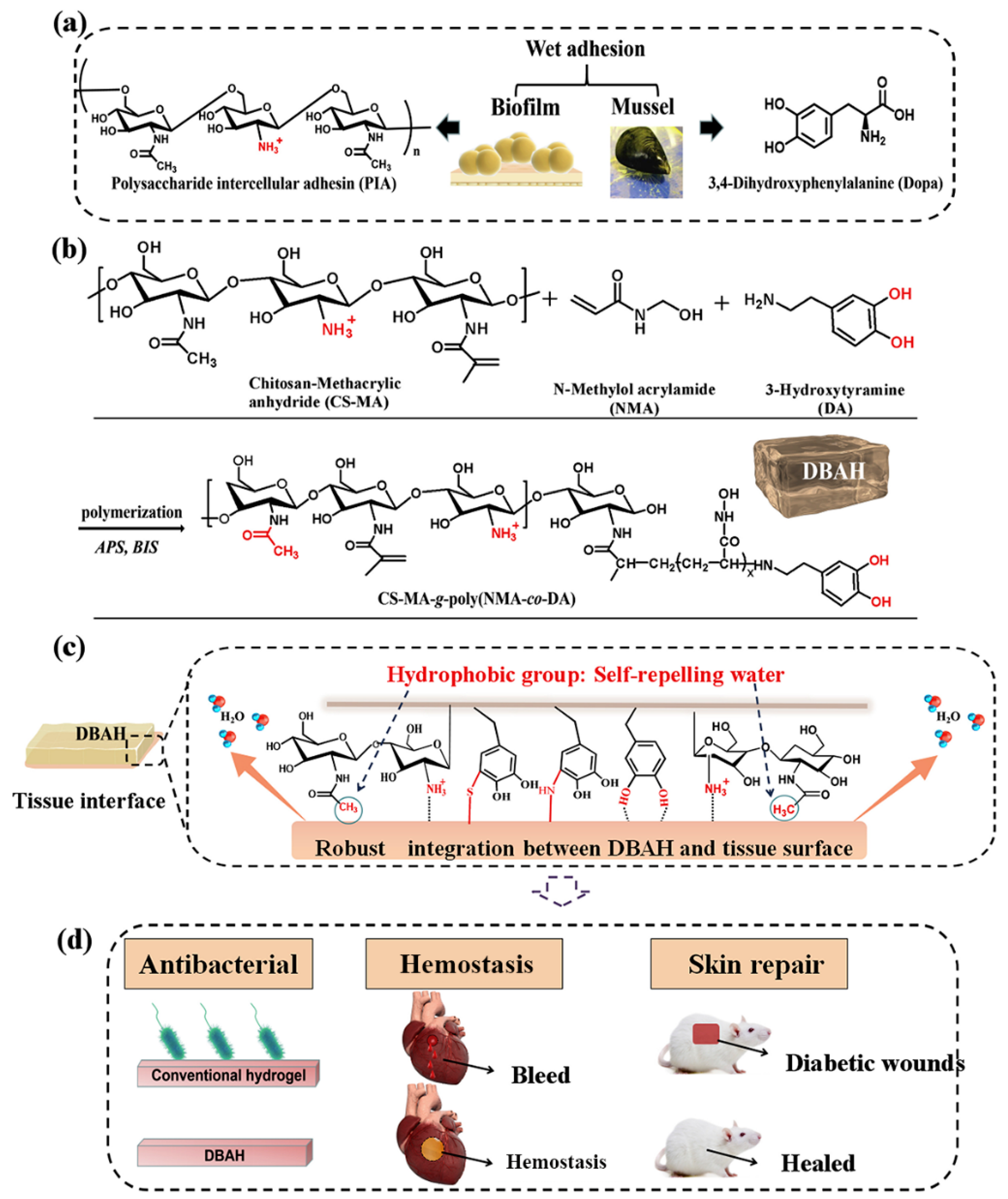 Marinedrugs 19 00372 g002