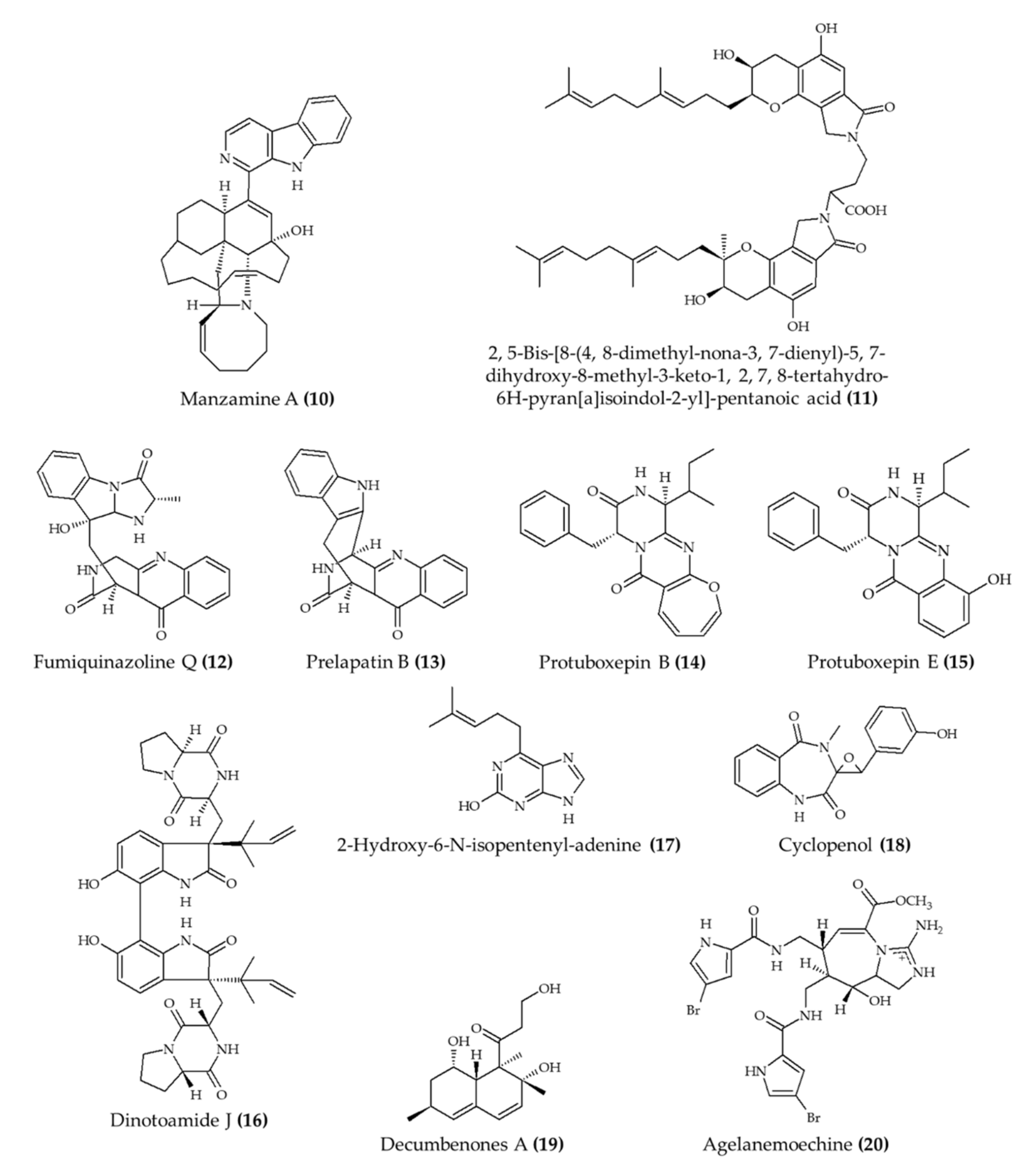 Marinedrugs 19 00374 g002